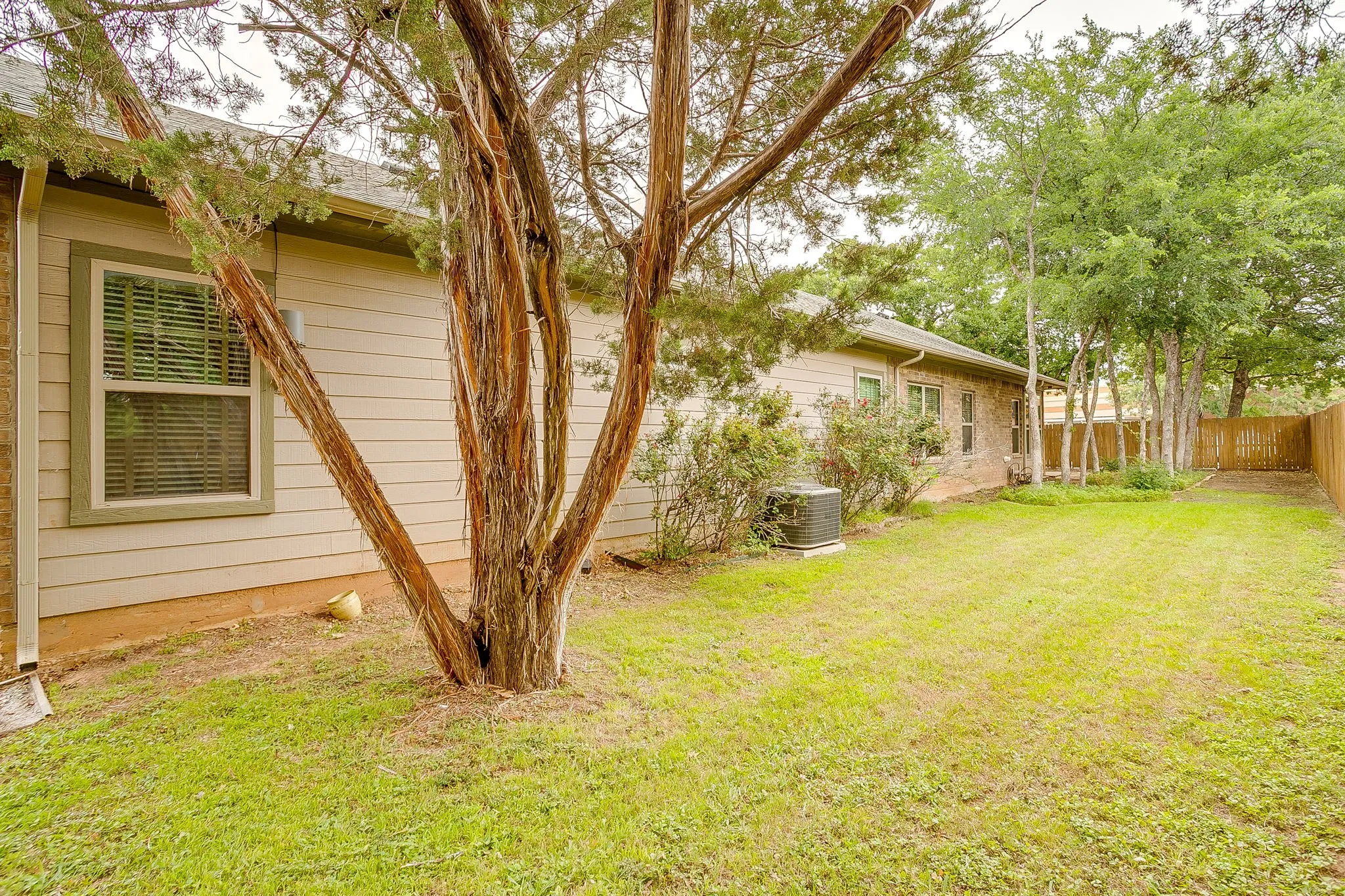 Side of yard coming from the front gate.