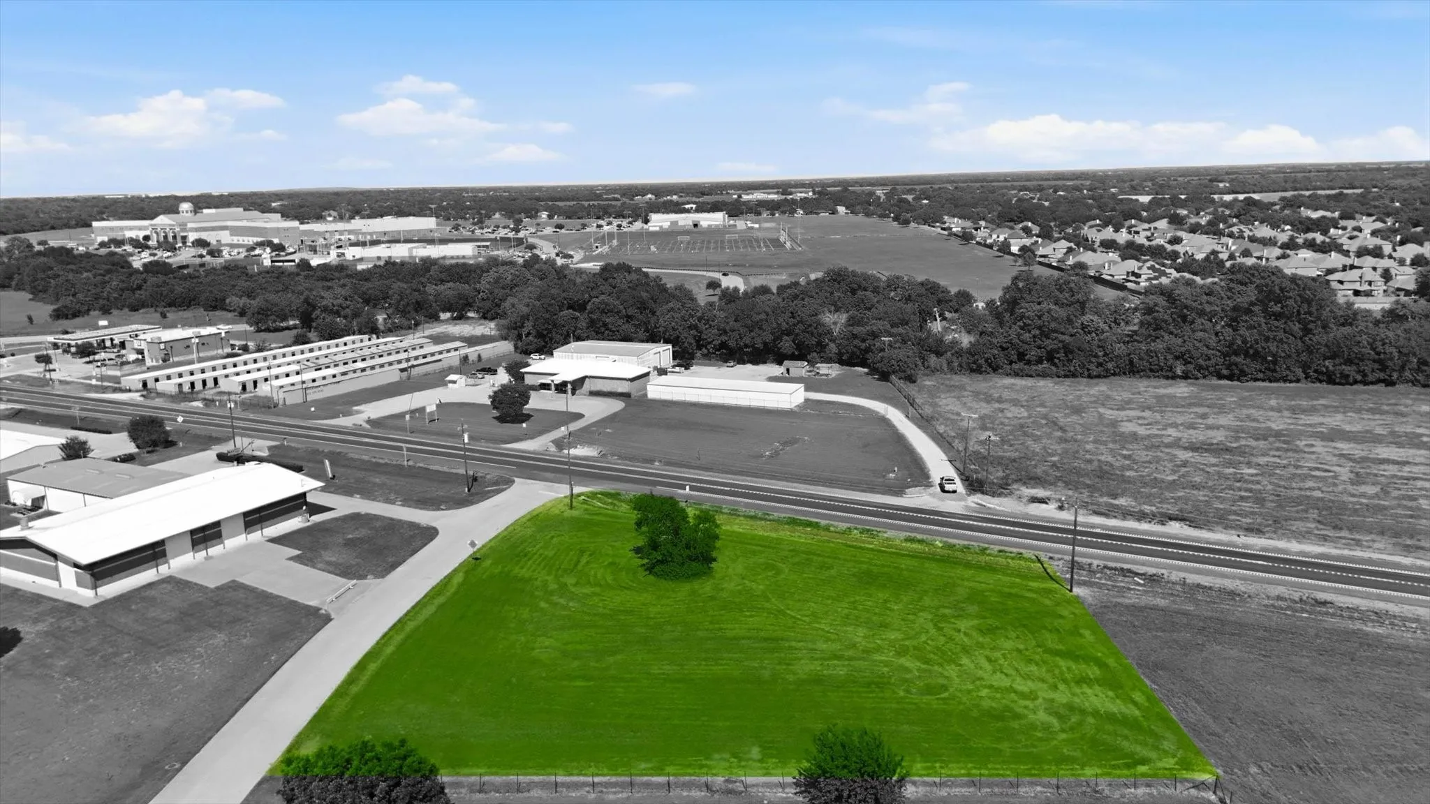 Expansive green land parcel featuring road frontage, a single mature tree, and a clear, level topography