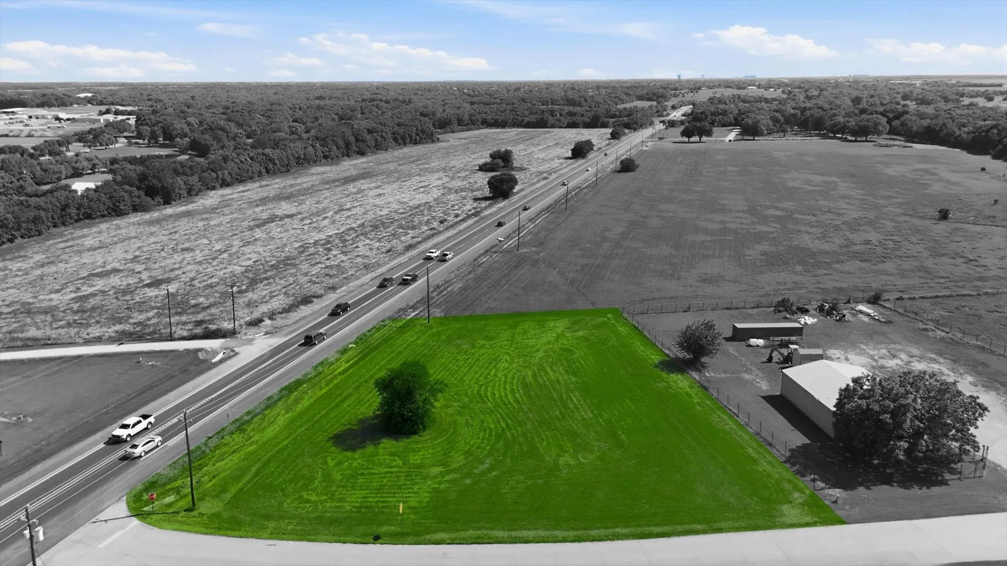 Expansive green lot featuring a single mature tree, bordered by a paved roadway