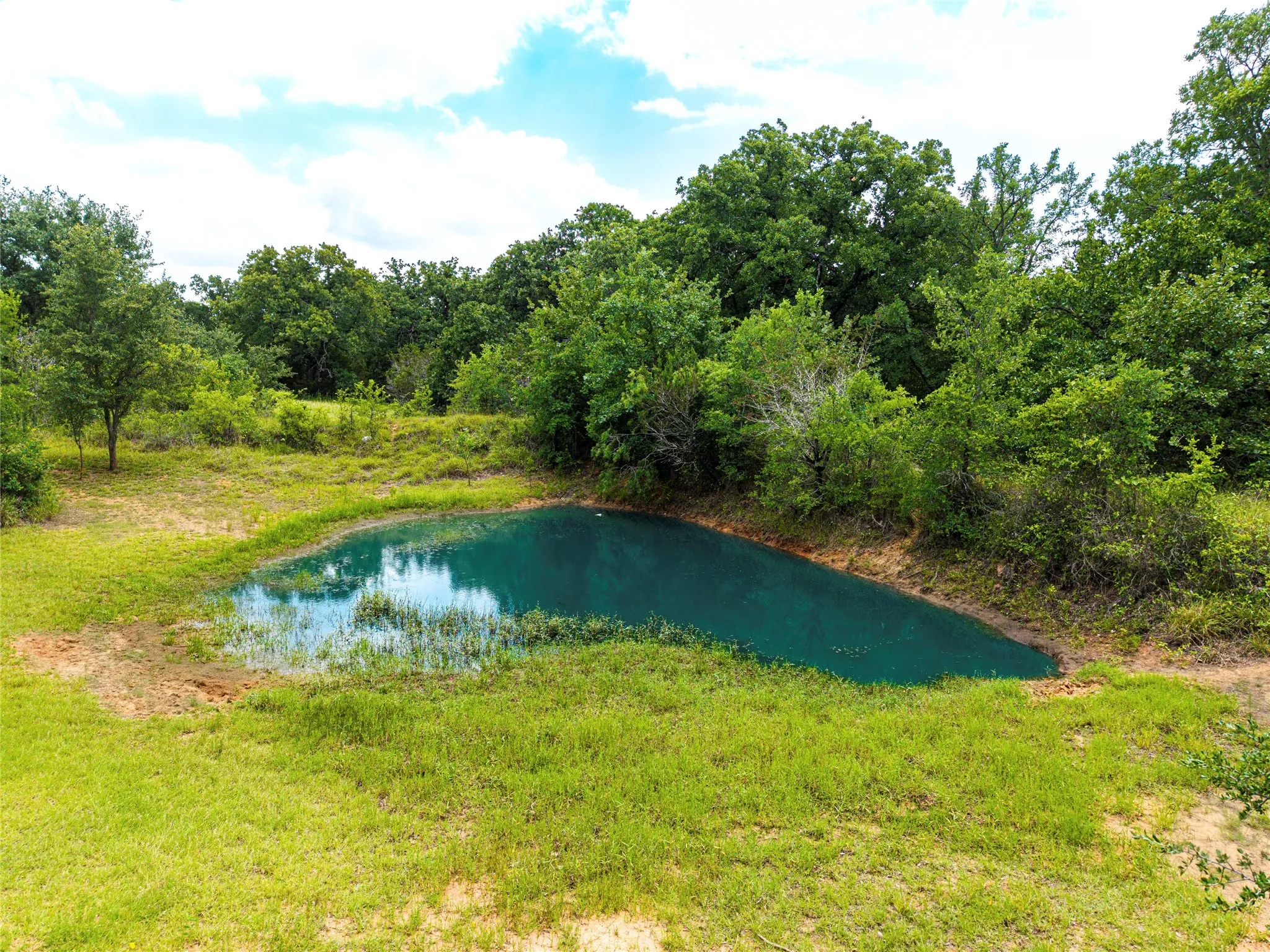 Unimproved Land For Sale in Johnson County , 11860 County Road 1240, Cleburne, Texas 76033, 0, 0, Garage spaces, 0 Sqft, built in 0, mls#21278161, Real Estate Agent in Cleburne, Homes For Sale in Johnson county, Homes For Sale in Cleburne, Realtor in Cleburne Texas, Real Estate Brokerage Independent Realty Texas, Luminita Cordes Realtor