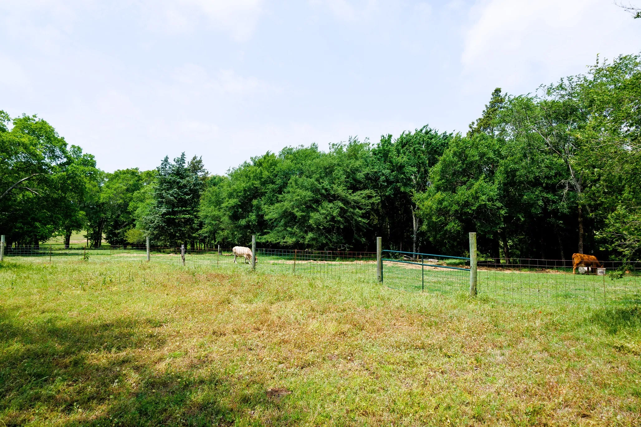Ranch For Sale in Van Zandt County , 6100 Fm 314, Ben Wheeler, Texas 75754, 0, 0, Garage spaces, 0 Sqft, built in 2008, Price $795,000, mls#21265092, Real Estate Agent in Ben Wheeler, Homes For Sale in Van Zandt county, Homes For Sale in Ben Wheeler, Realtor in Ben Wheeler Texas, Real Estate Brokerage Independent Realty Texas, Luminita Cordes Realtor