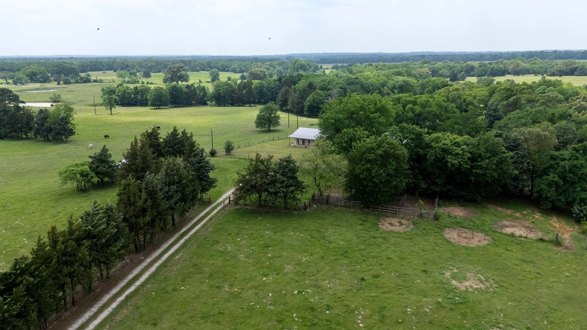 Ranch For Sale in Van Zandt County , 6100 Fm 314, Ben Wheeler, Texas 75754, 0, 0, Garage spaces, 0 Sqft, built in 2008, Price $795,000, mls#21265092, Real Estate Agent in Ben Wheeler, Homes For Sale in Van Zandt county, Homes For Sale in Ben Wheeler, Realtor in Ben Wheeler Texas, Real Estate Brokerage Independent Realty Texas, Luminita Cordes Realtor