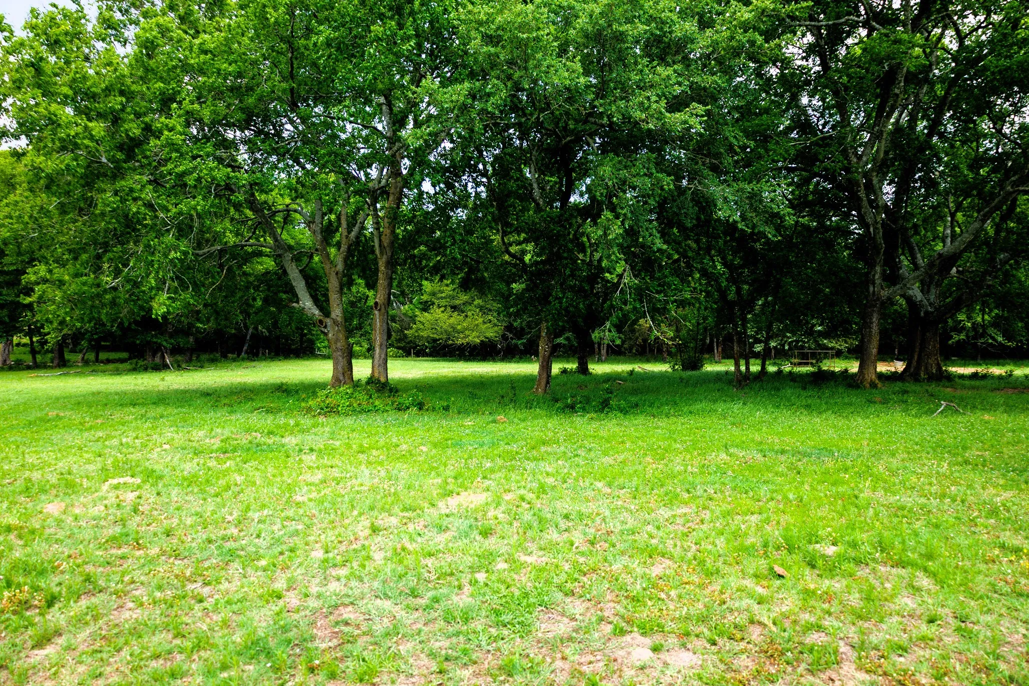 Ranch For Sale in Van Zandt County , 6100 Fm 314, Ben Wheeler, Texas 75754, 0, 0, Garage spaces, 0 Sqft, built in 2008, Price $795,000, mls#21265092, Real Estate Agent in Ben Wheeler, Homes For Sale in Van Zandt county, Homes For Sale in Ben Wheeler, Realtor in Ben Wheeler Texas, Real Estate Brokerage Independent Realty Texas, Luminita Cordes Realtor