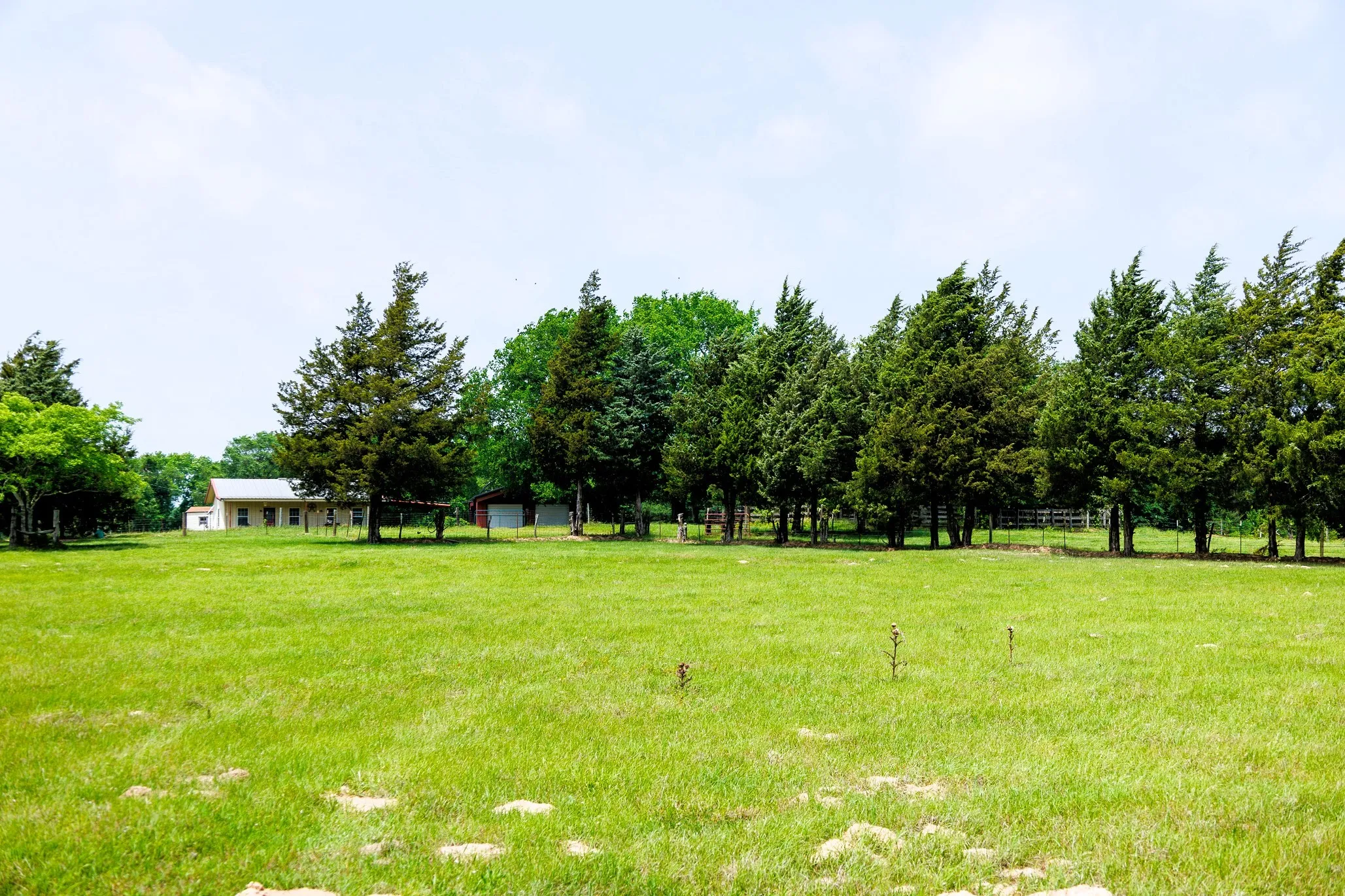 Ranch For Sale in Van Zandt County , 6100 Fm 314, Ben Wheeler, Texas 75754, 0, 0, Garage spaces, 0 Sqft, built in 2008, Price $795,000, mls#21265092, Real Estate Agent in Ben Wheeler, Homes For Sale in Van Zandt county, Homes For Sale in Ben Wheeler, Realtor in Ben Wheeler Texas, Real Estate Brokerage Independent Realty Texas, Luminita Cordes Realtor