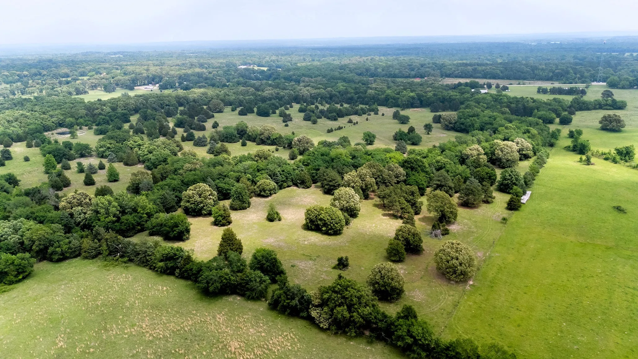Ranch For Sale in Van Zandt County , 6100 Fm 314, Ben Wheeler, Texas 75754, 0, 0, Garage spaces, 0 Sqft, built in 2008, Price $795,000, mls#21265092, Real Estate Agent in Ben Wheeler, Homes For Sale in Van Zandt county, Homes For Sale in Ben Wheeler, Realtor in Ben Wheeler Texas, Real Estate Brokerage Independent Realty Texas, Luminita Cordes Realtor