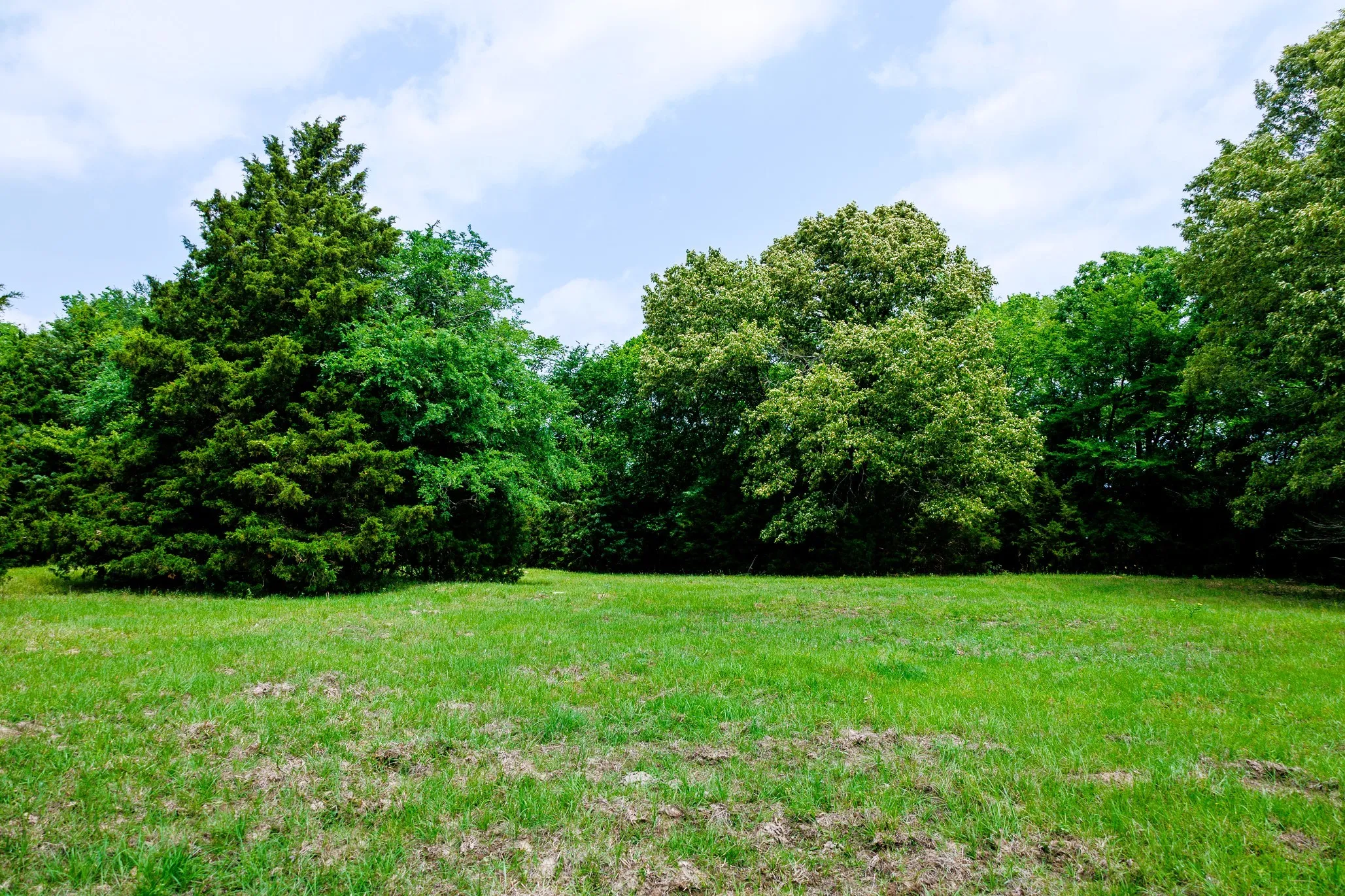 Ranch For Sale in Van Zandt County , 6100 Fm 314, Ben Wheeler, Texas 75754, 0, 0, Garage spaces, 0 Sqft, built in 2008, Price $795,000, mls#21265092, Real Estate Agent in Ben Wheeler, Homes For Sale in Van Zandt county, Homes For Sale in Ben Wheeler, Realtor in Ben Wheeler Texas, Real Estate Brokerage Independent Realty Texas, Luminita Cordes Realtor