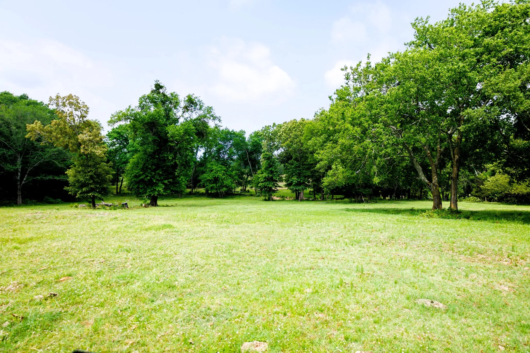 Ranch For Sale in Van Zandt County , 6100 Fm 314, Ben Wheeler, Texas 75754, 0, 0, Garage spaces, 0 Sqft, built in 2008, Price $795,000, mls#21265092, Real Estate Agent in Ben Wheeler, Homes For Sale in Van Zandt county, Homes For Sale in Ben Wheeler, Realtor in Ben Wheeler Texas, Real Estate Brokerage Independent Realty Texas, Luminita Cordes Realtor