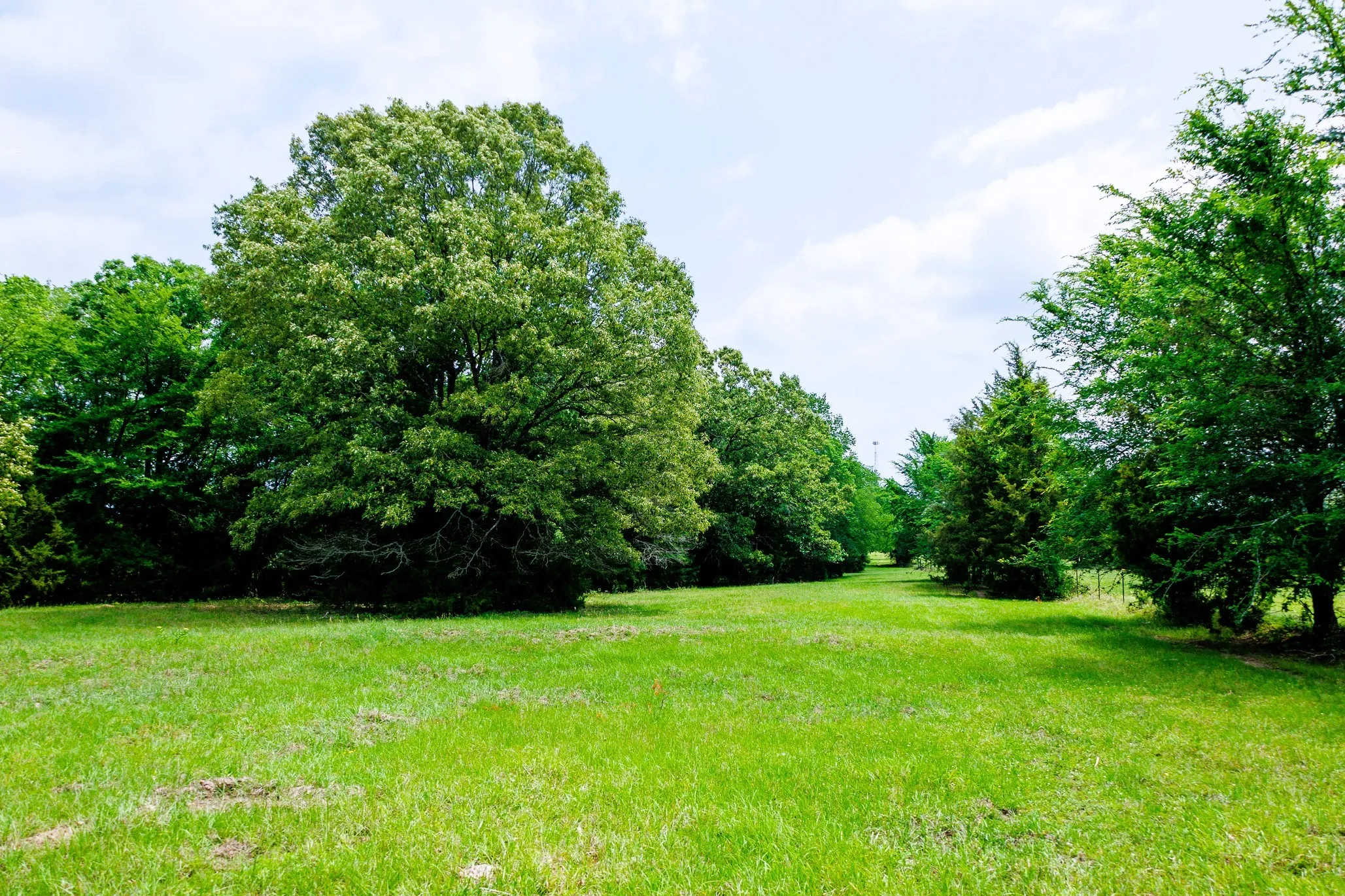 Ranch For Sale in Van Zandt County , 6100 Fm 314, Ben Wheeler, Texas 75754, 0, 0, Garage spaces, 0 Sqft, built in 2008, Price $795,000, mls#21265092, Real Estate Agent in Ben Wheeler, Homes For Sale in Van Zandt county, Homes For Sale in Ben Wheeler, Realtor in Ben Wheeler Texas, Real Estate Brokerage Independent Realty Texas, Luminita Cordes Realtor