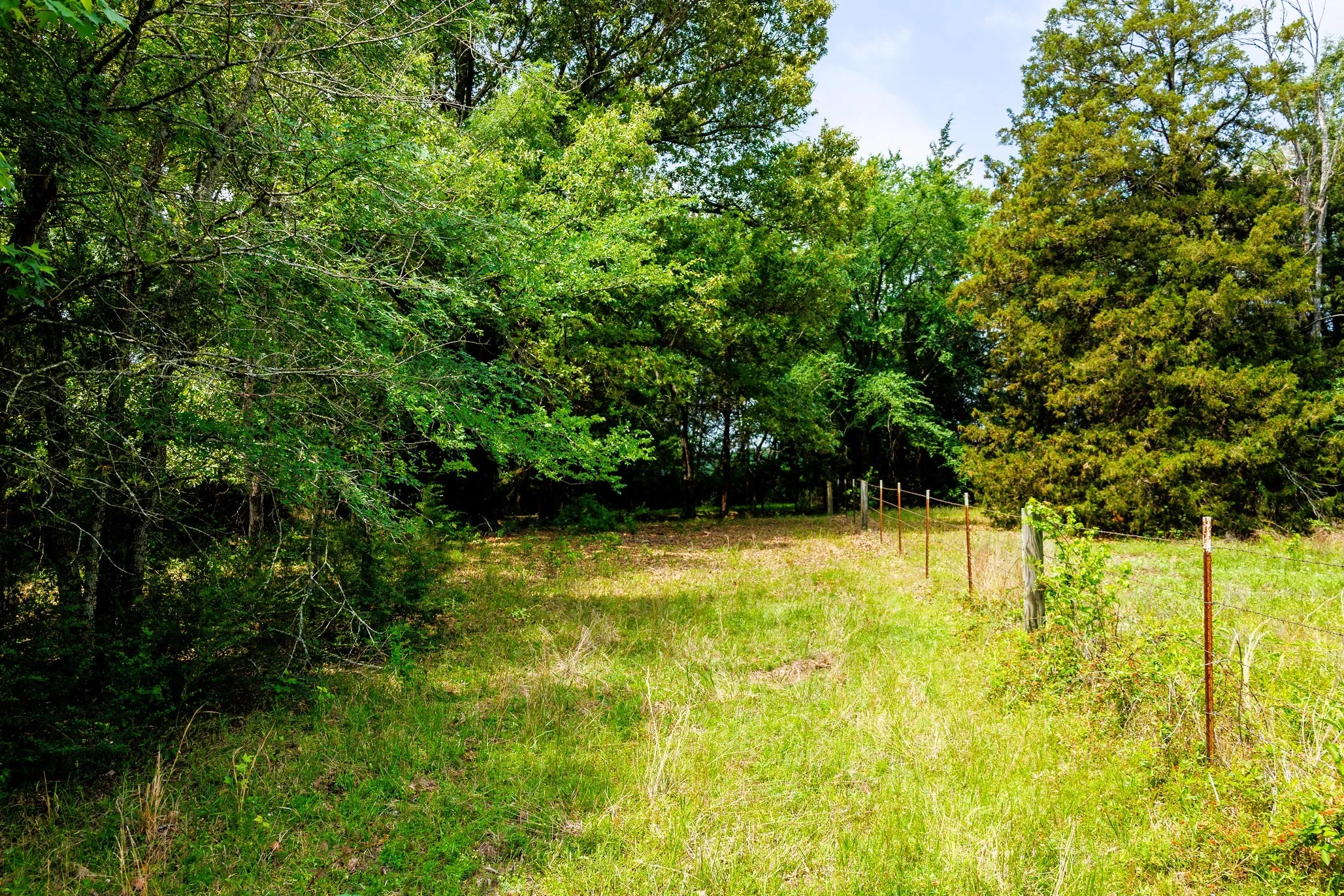 Ranch For Sale in Van Zandt County , 6100 Fm 314, Ben Wheeler, Texas 75754, 0, 0, Garage spaces, 0 Sqft, built in 2008, Price $795,000, mls#21265092, Real Estate Agent in Ben Wheeler, Homes For Sale in Van Zandt county, Homes For Sale in Ben Wheeler, Realtor in Ben Wheeler Texas, Real Estate Brokerage Independent Realty Texas, Luminita Cordes Realtor