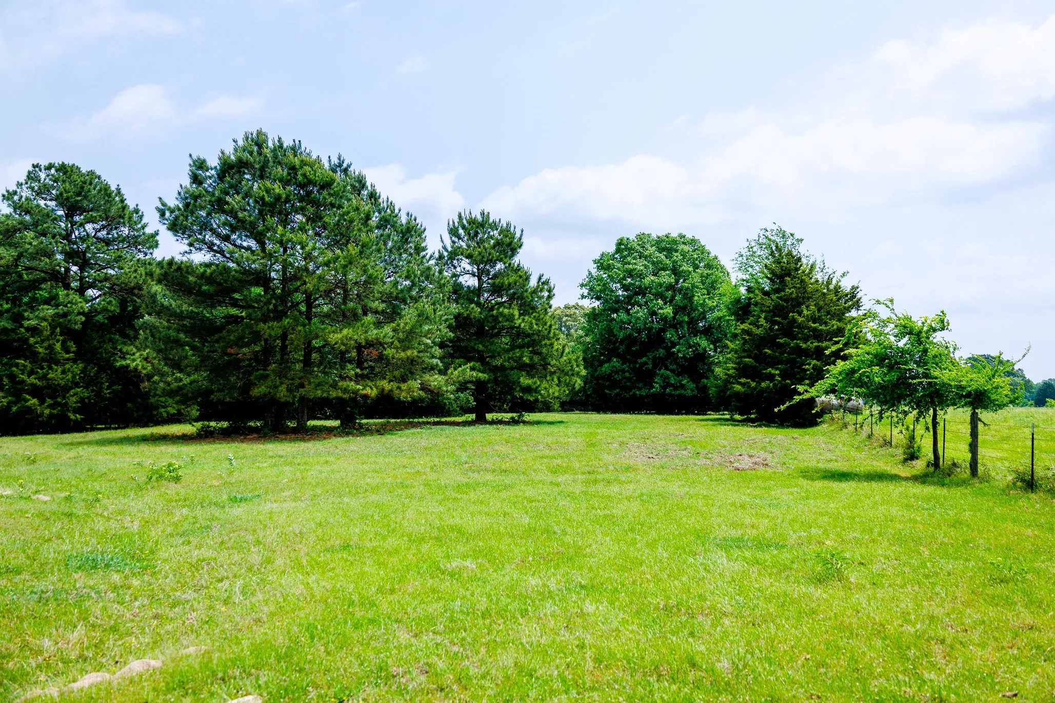 Ranch For Sale in Van Zandt County , 6100 Fm 314, Ben Wheeler, Texas 75754, 0, 0, Garage spaces, 0 Sqft, built in 2008, Price $795,000, mls#21265092, Real Estate Agent in Ben Wheeler, Homes For Sale in Van Zandt county, Homes For Sale in Ben Wheeler, Realtor in Ben Wheeler Texas, Real Estate Brokerage Independent Realty Texas, Luminita Cordes Realtor