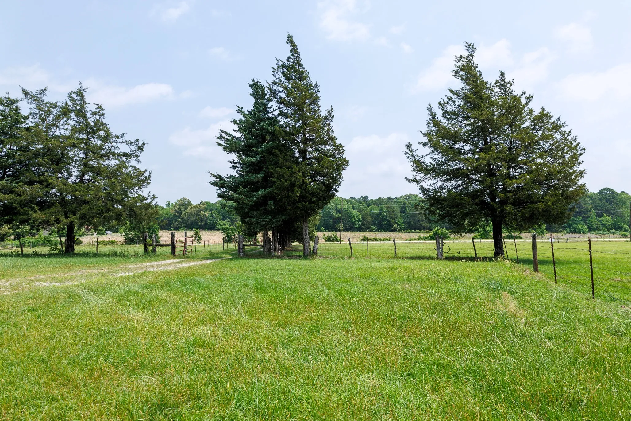 Ranch For Sale in Van Zandt County , 6100 Fm 314, Ben Wheeler, Texas 75754, 0, 0, Garage spaces, 0 Sqft, built in 2008, Price $795,000, mls#21265092, Real Estate Agent in Ben Wheeler, Homes For Sale in Van Zandt county, Homes For Sale in Ben Wheeler, Realtor in Ben Wheeler Texas, Real Estate Brokerage Independent Realty Texas, Luminita Cordes Realtor