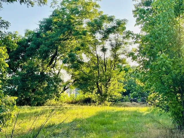 Unimproved Land For Sale in Wood County , 628 S Johnson Street, Mineola, Texas 75773, 0, 0, Garage spaces, 0 Sqft, built in 0, mls#21278312, Real Estate Agent in Mineola, Homes For Sale in Wood county, Homes For Sale in Mineola, Realtor in Mineola Texas, Real Estate Brokerage Independent Realty Texas, Luminita Cordes Realtor