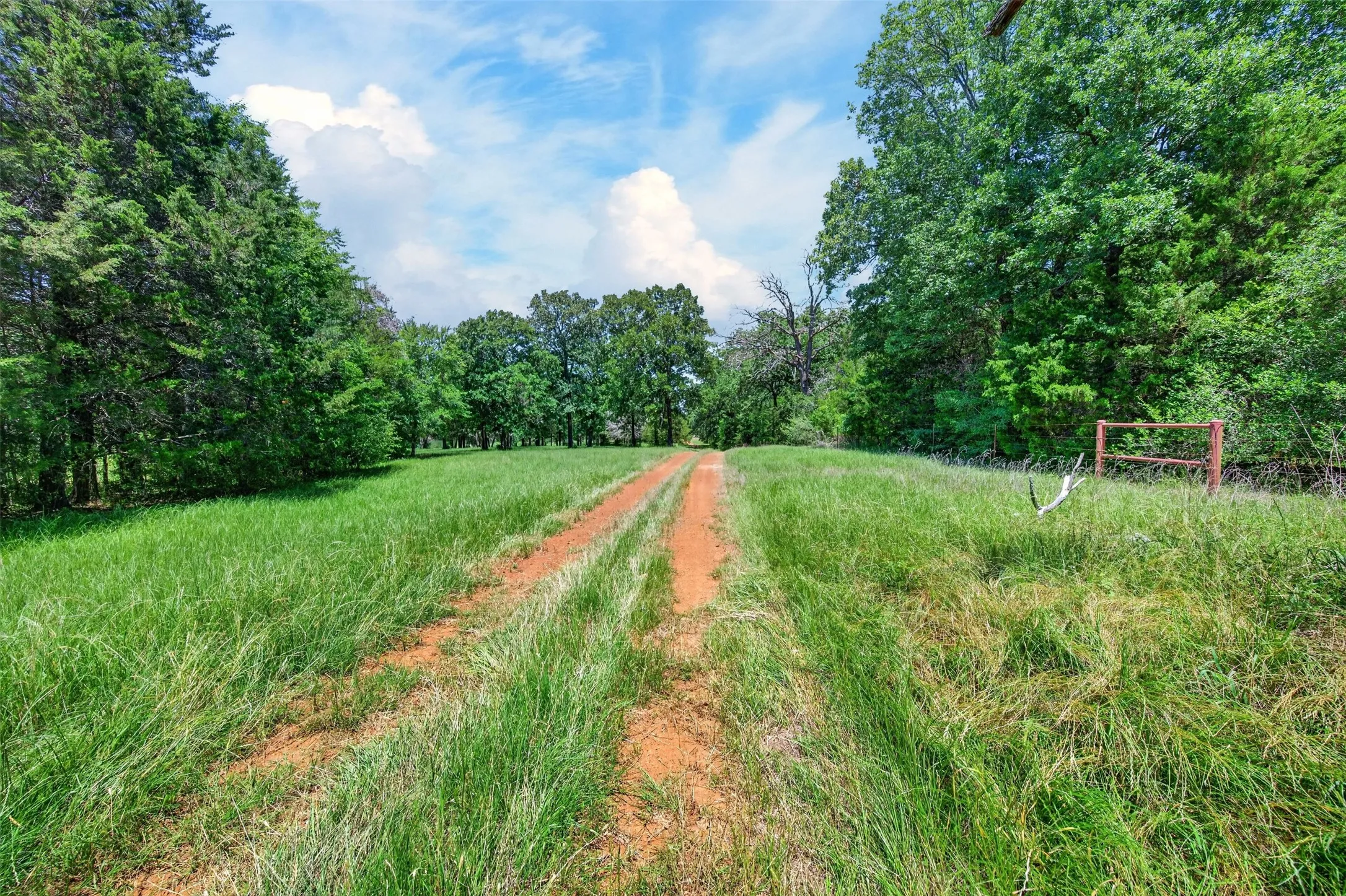 Single Family Residence For Sale in Anderson County , 1053 ACR 499, Athens, Texas 75751, 3 Bedroom, 2 Bathroom, 1 Garage spaces, 2,442 Sqft, built in 2003, mls#21277165, Real Estate Agent in Athens, Homes For Sale in Anderson county, Homes For Sale in Athens, Realtor in Athens Texas, Real Estate Brokerage Independent Realty Texas, Luminita Cordes Realtor