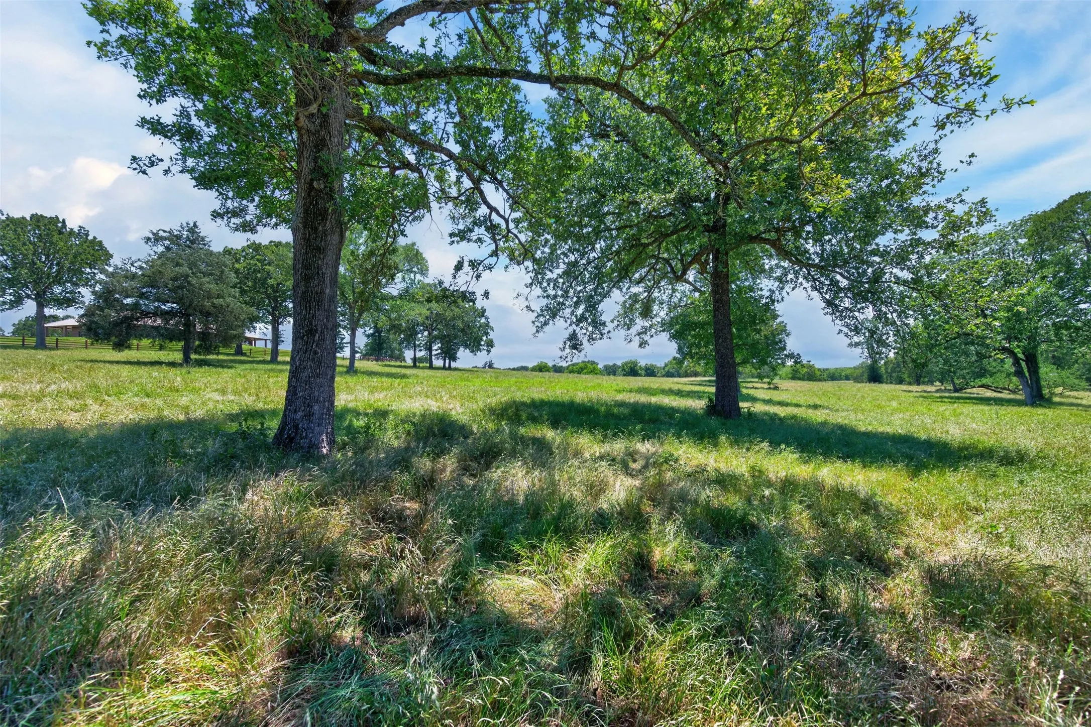 Single Family Residence For Sale in Anderson County , 1053 ACR 499, Athens, Texas 75751, 3 Bedroom, 2 Bathroom, 1 Garage spaces, 2,442 Sqft, built in 2003, mls#21277165, Real Estate Agent in Athens, Homes For Sale in Anderson county, Homes For Sale in Athens, Realtor in Athens Texas, Real Estate Brokerage Independent Realty Texas, Luminita Cordes Realtor