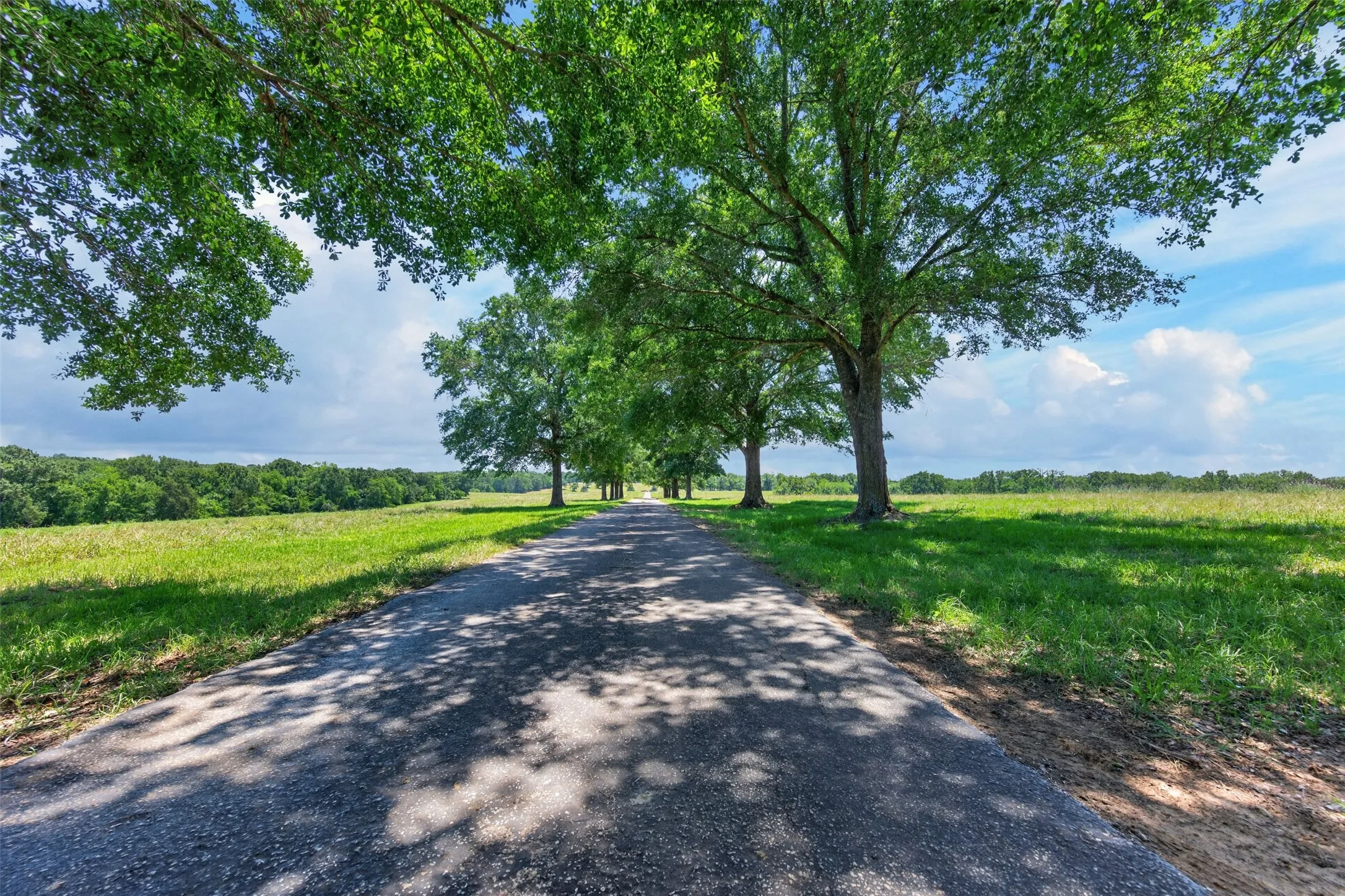 Single Family Residence For Sale in Anderson County , 1053 ACR 499, Athens, Texas 75751, 3 Bedroom, 2 Bathroom, 1 Garage spaces, 2,442 Sqft, built in 2003, mls#21277165, Real Estate Agent in Athens, Homes For Sale in Anderson county, Homes For Sale in Athens, Realtor in Athens Texas, Real Estate Brokerage Independent Realty Texas, Luminita Cordes Realtor