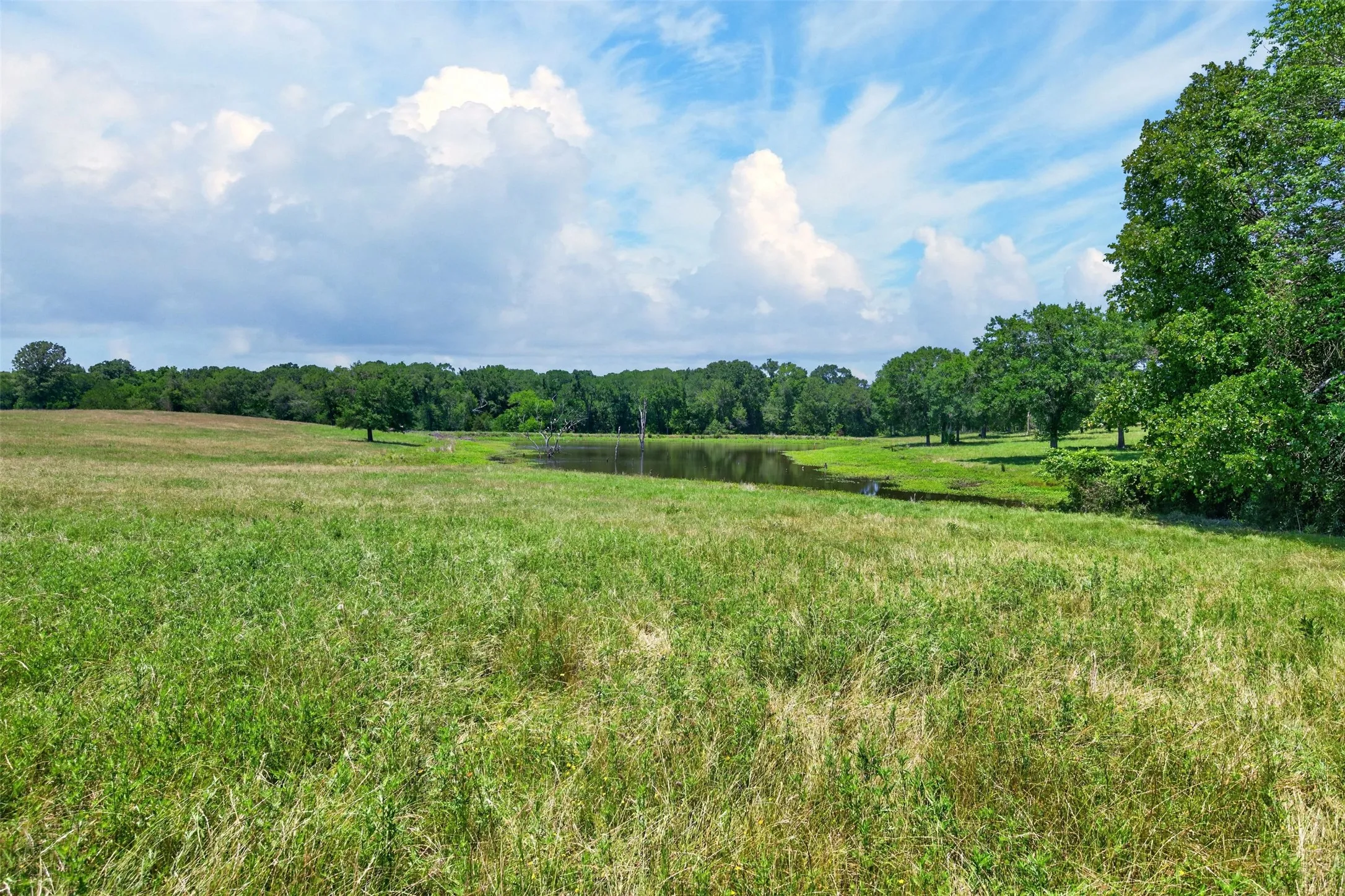 Single Family Residence For Sale in Anderson County , 1053 ACR 499, Athens, Texas 75751, 3 Bedroom, 2 Bathroom, 1 Garage spaces, 2,442 Sqft, built in 2003, mls#21277165, Real Estate Agent in Athens, Homes For Sale in Anderson county, Homes For Sale in Athens, Realtor in Athens Texas, Real Estate Brokerage Independent Realty Texas, Luminita Cordes Realtor