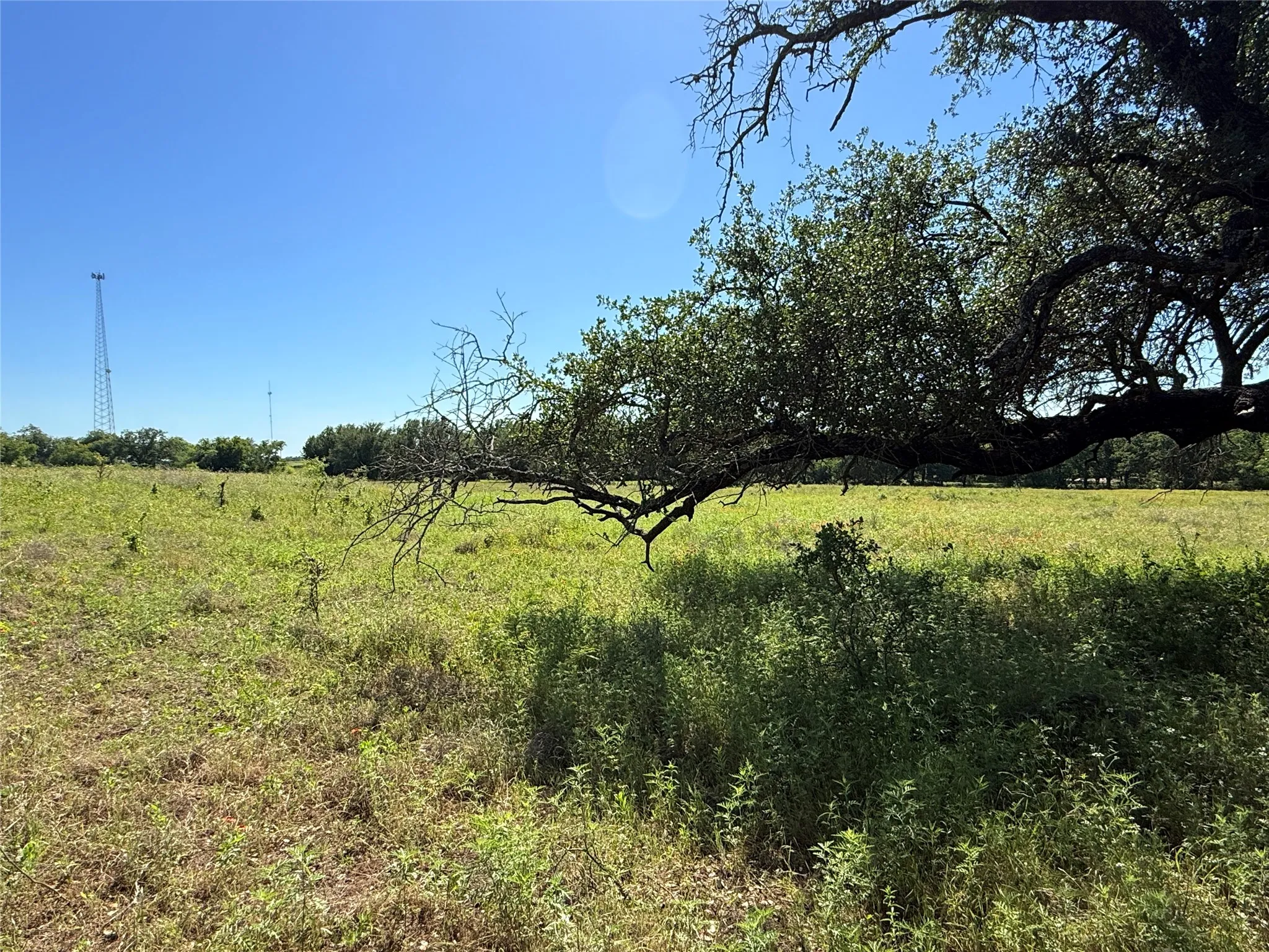 Improved Land For Sale in Hamilton County , 913 N Rice, Hamilton, Texas 76531, 0, 0, Garage spaces, 0 Sqft, built in 0, Price $450,000, mls#21278024, Real Estate Agent in Hamilton, Homes For Sale in Hamilton county, Homes For Sale in Hamilton, Realtor in Hamilton Texas, Real Estate Brokerage Independent Realty Texas, Luminita Cordes Realtor