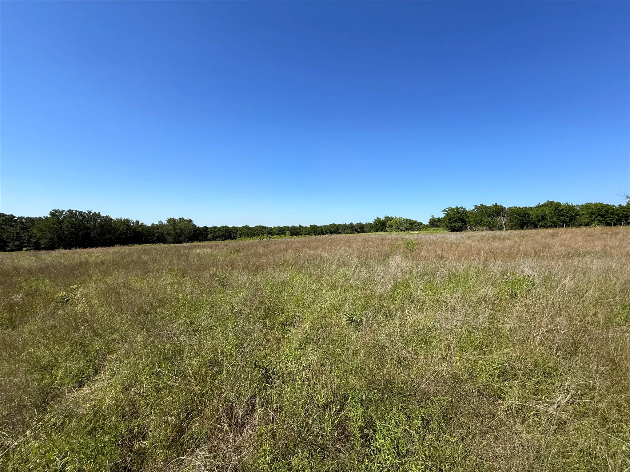 Improved Land For Sale in Hamilton County , 913 N Rice, Hamilton, Texas 76531, 0, 0, Garage spaces, 0 Sqft, built in 0, Price $450,000, mls#21278024, Real Estate Agent in Hamilton, Homes For Sale in Hamilton county, Homes For Sale in Hamilton, Realtor in Hamilton Texas, Real Estate Brokerage Independent Realty Texas, Luminita Cordes Realtor