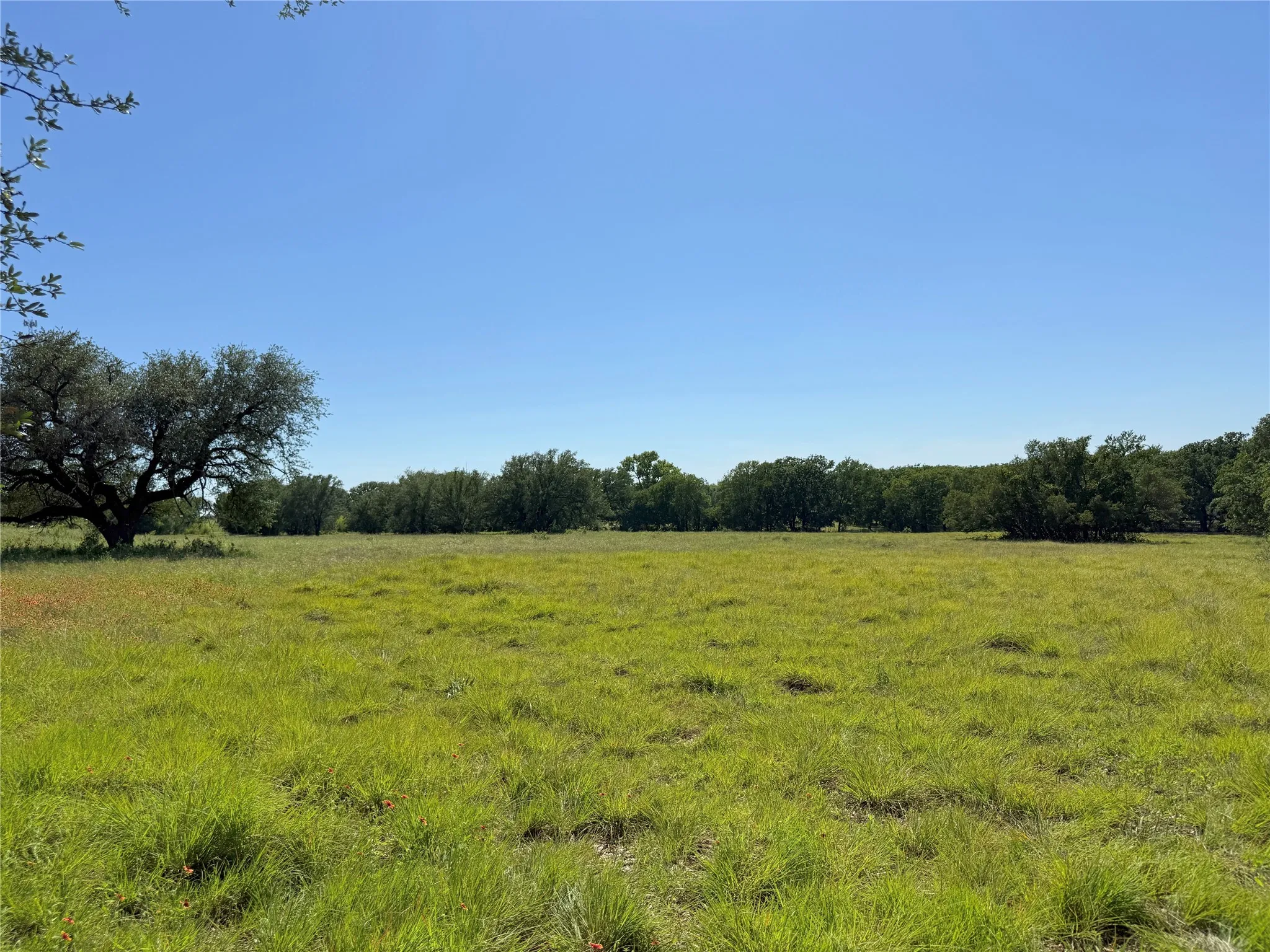 Improved Land For Sale in Hamilton County , 913 N Rice, Hamilton, Texas 76531, 0, 0, Garage spaces, 0 Sqft, built in 0, Price $450,000, mls#21278024, Real Estate Agent in Hamilton, Homes For Sale in Hamilton county, Homes For Sale in Hamilton, Realtor in Hamilton Texas, Real Estate Brokerage Independent Realty Texas, Luminita Cordes Realtor
