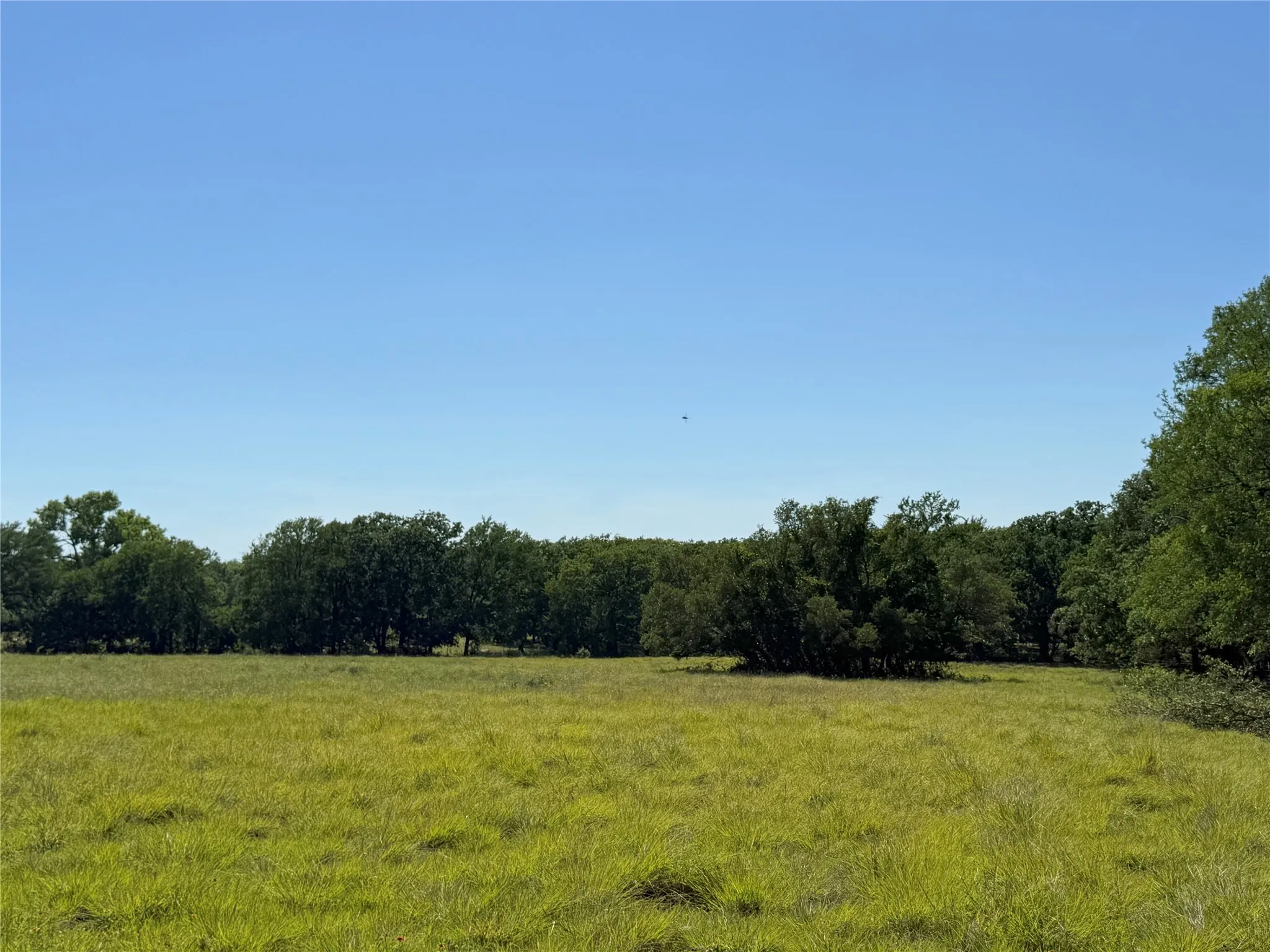 Improved Land For Sale in Hamilton County , 913 N Rice, Hamilton, Texas 76531, 0, 0, Garage spaces, 0 Sqft, built in 0, Price $450,000, mls#21278024, Real Estate Agent in Hamilton, Homes For Sale in Hamilton county, Homes For Sale in Hamilton, Realtor in Hamilton Texas, Real Estate Brokerage Independent Realty Texas, Luminita Cordes Realtor