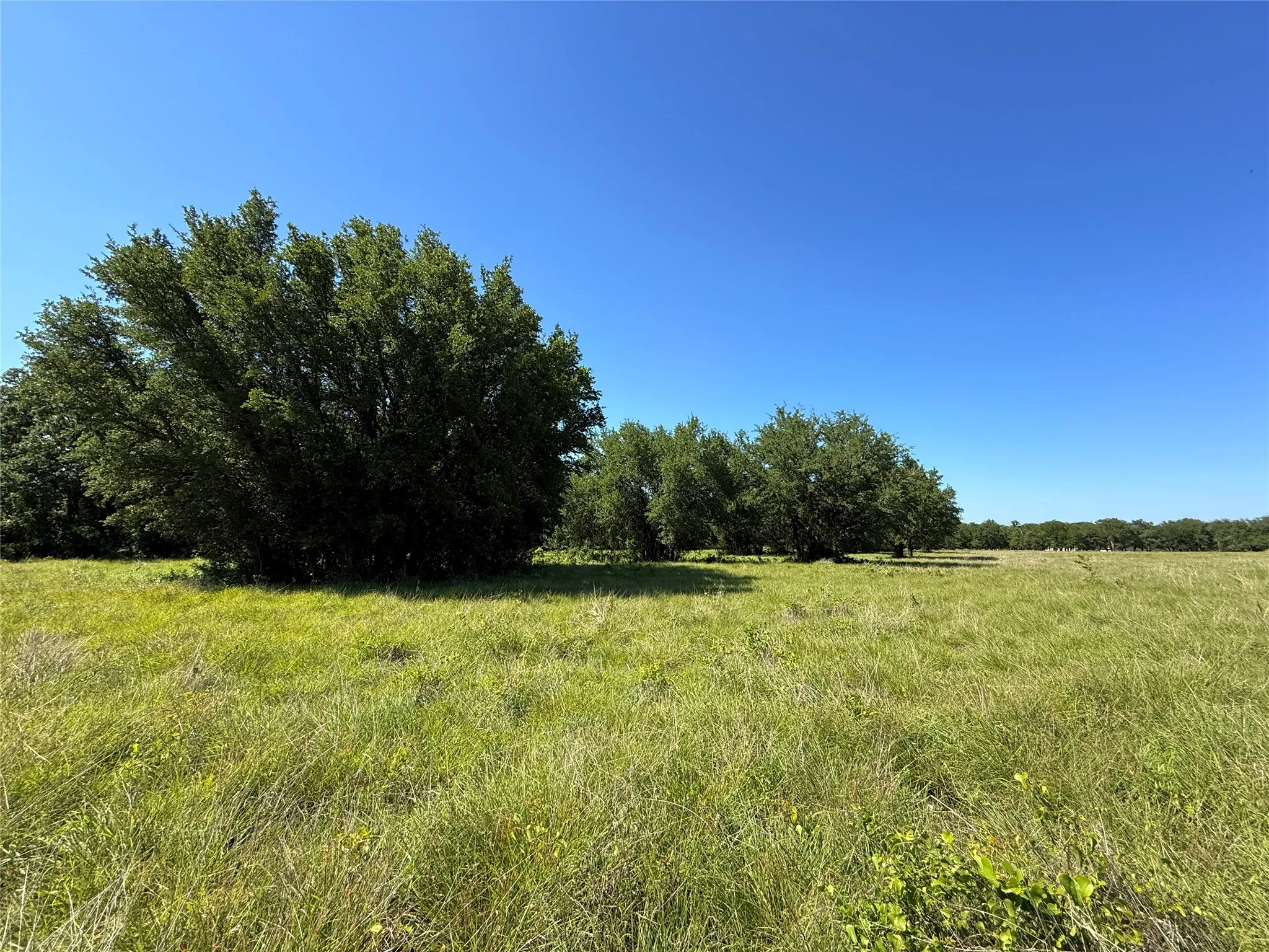 Improved Land For Sale in Hamilton County , 913 N Rice, Hamilton, Texas 76531, 0, 0, Garage spaces, 0 Sqft, built in 0, Price $450,000, mls#21278024, Real Estate Agent in Hamilton, Homes For Sale in Hamilton county, Homes For Sale in Hamilton, Realtor in Hamilton Texas, Real Estate Brokerage Independent Realty Texas, Luminita Cordes Realtor