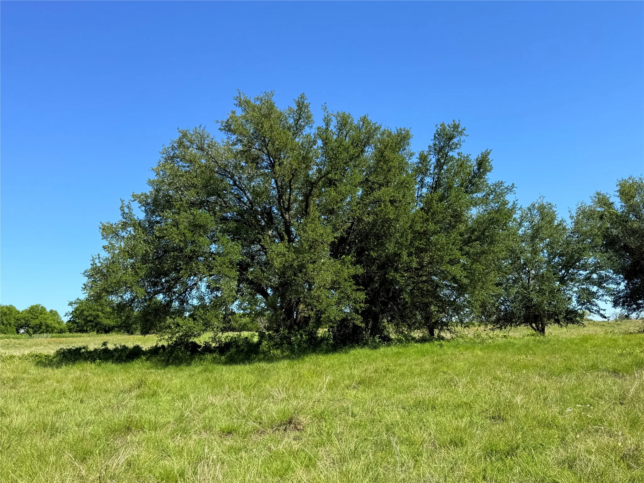Improved Land For Sale in Hamilton County , 913 N Rice, Hamilton, Texas 76531, 0, 0, Garage spaces, 0 Sqft, built in 0, Price $450,000, mls#21278024, Real Estate Agent in Hamilton, Homes For Sale in Hamilton county, Homes For Sale in Hamilton, Realtor in Hamilton Texas, Real Estate Brokerage Independent Realty Texas, Luminita Cordes Realtor