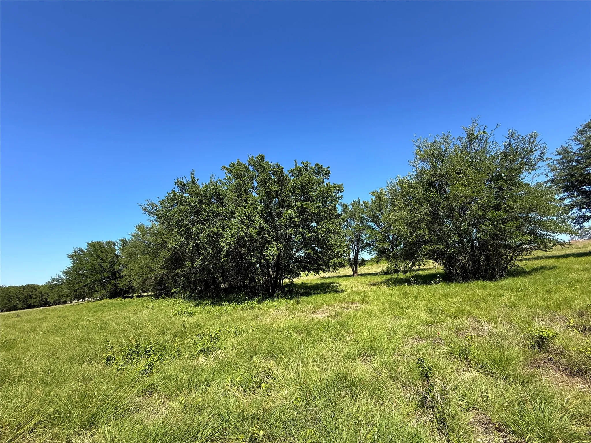 Improved Land For Sale in Hamilton County , 913 N Rice, Hamilton, Texas 76531, 0, 0, Garage spaces, 0 Sqft, built in 0, Price $450,000, mls#21278024, Real Estate Agent in Hamilton, Homes For Sale in Hamilton county, Homes For Sale in Hamilton, Realtor in Hamilton Texas, Real Estate Brokerage Independent Realty Texas, Luminita Cordes Realtor