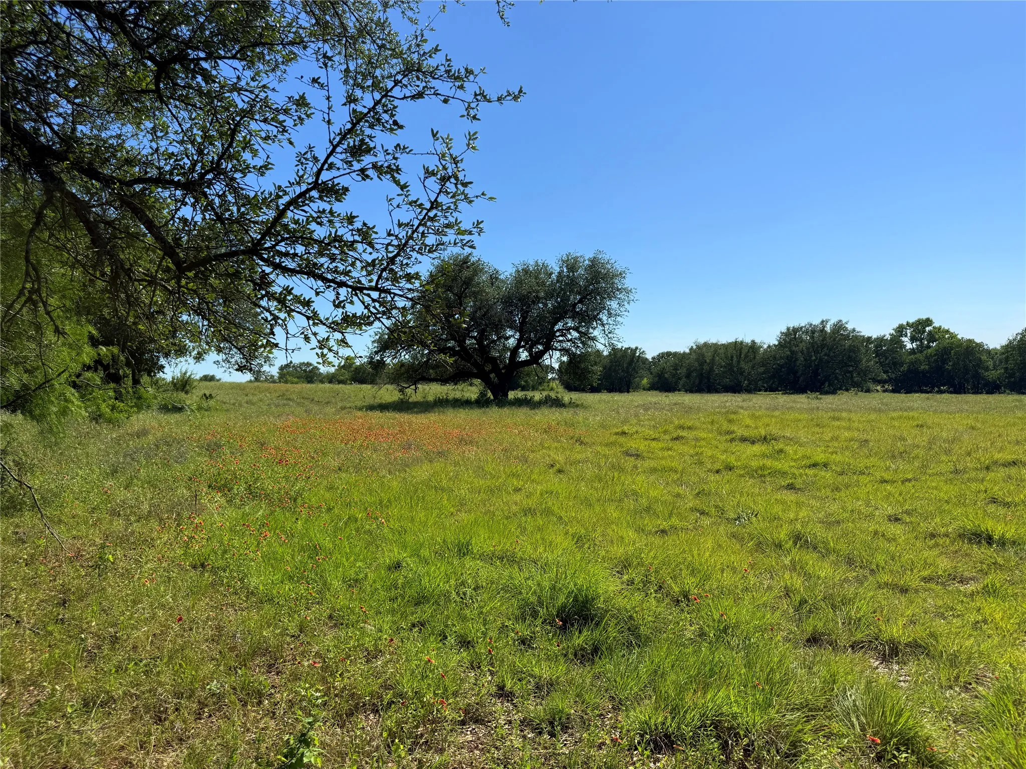 Improved Land For Sale in Hamilton County , 913 N Rice, Hamilton, Texas 76531, 0, 0, Garage spaces, 0 Sqft, built in 0, Price $450,000, mls#21278024, Real Estate Agent in Hamilton, Homes For Sale in Hamilton county, Homes For Sale in Hamilton, Realtor in Hamilton Texas, Real Estate Brokerage Independent Realty Texas, Luminita Cordes Realtor