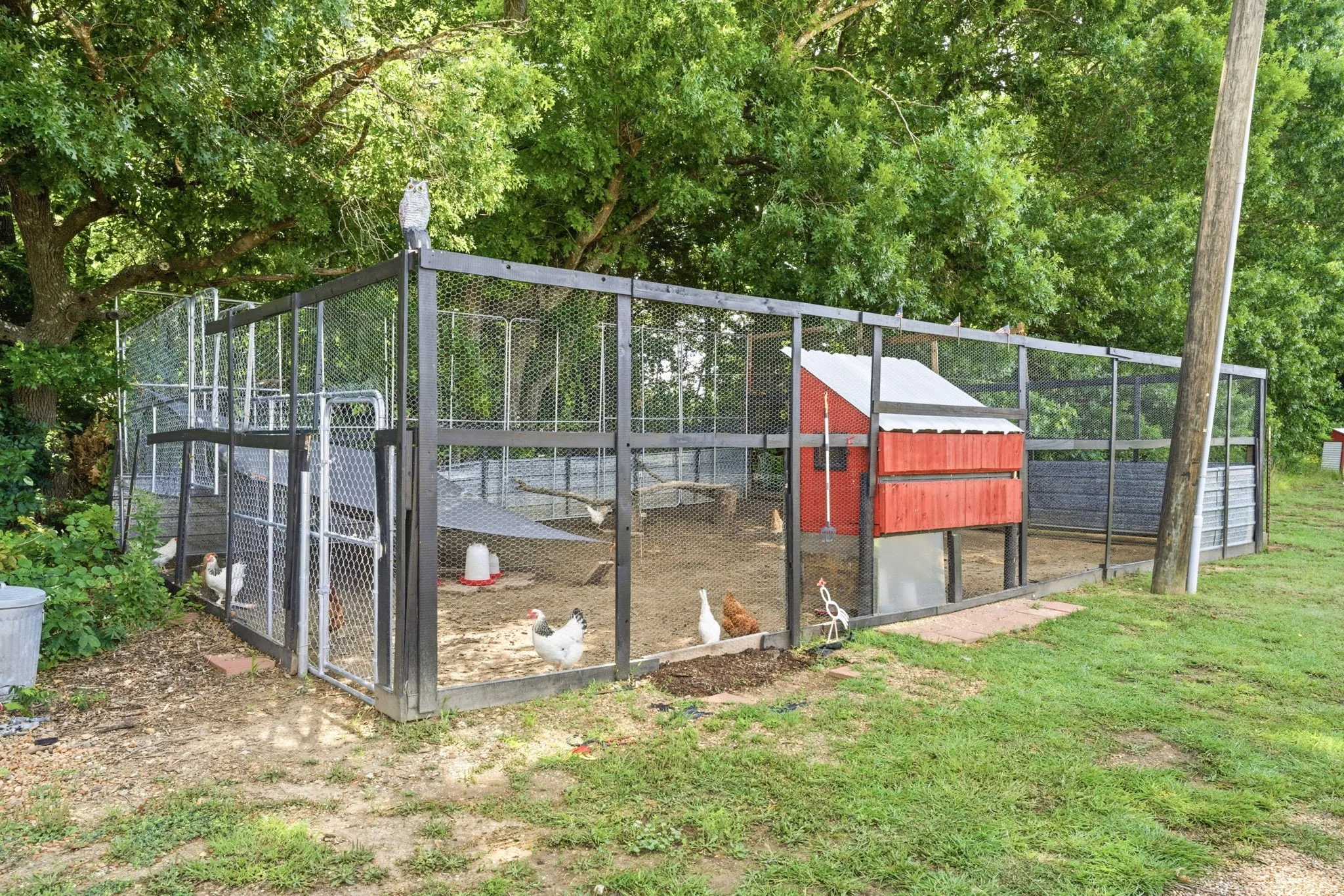 Chicken Coop for Farm Fresh Eggs