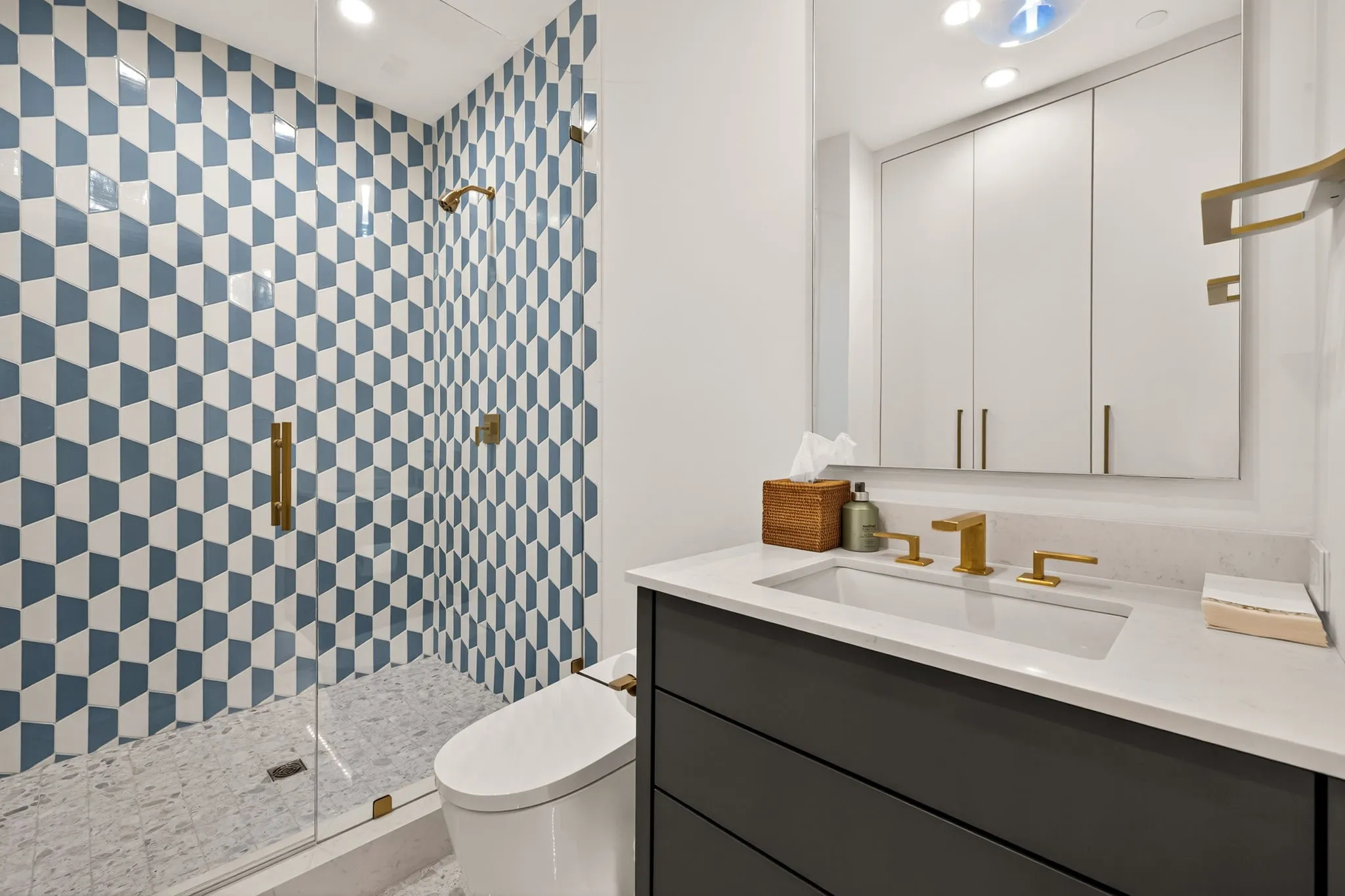 Bathroom featuring a geometric blue and white tiled shower with a glass enclosure and brass hardware