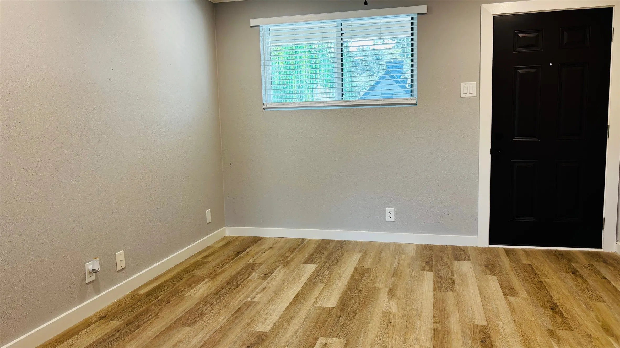 Room featuring wood-finish flooring, light gray walls, white baseboards, and a black paneled door with white trim