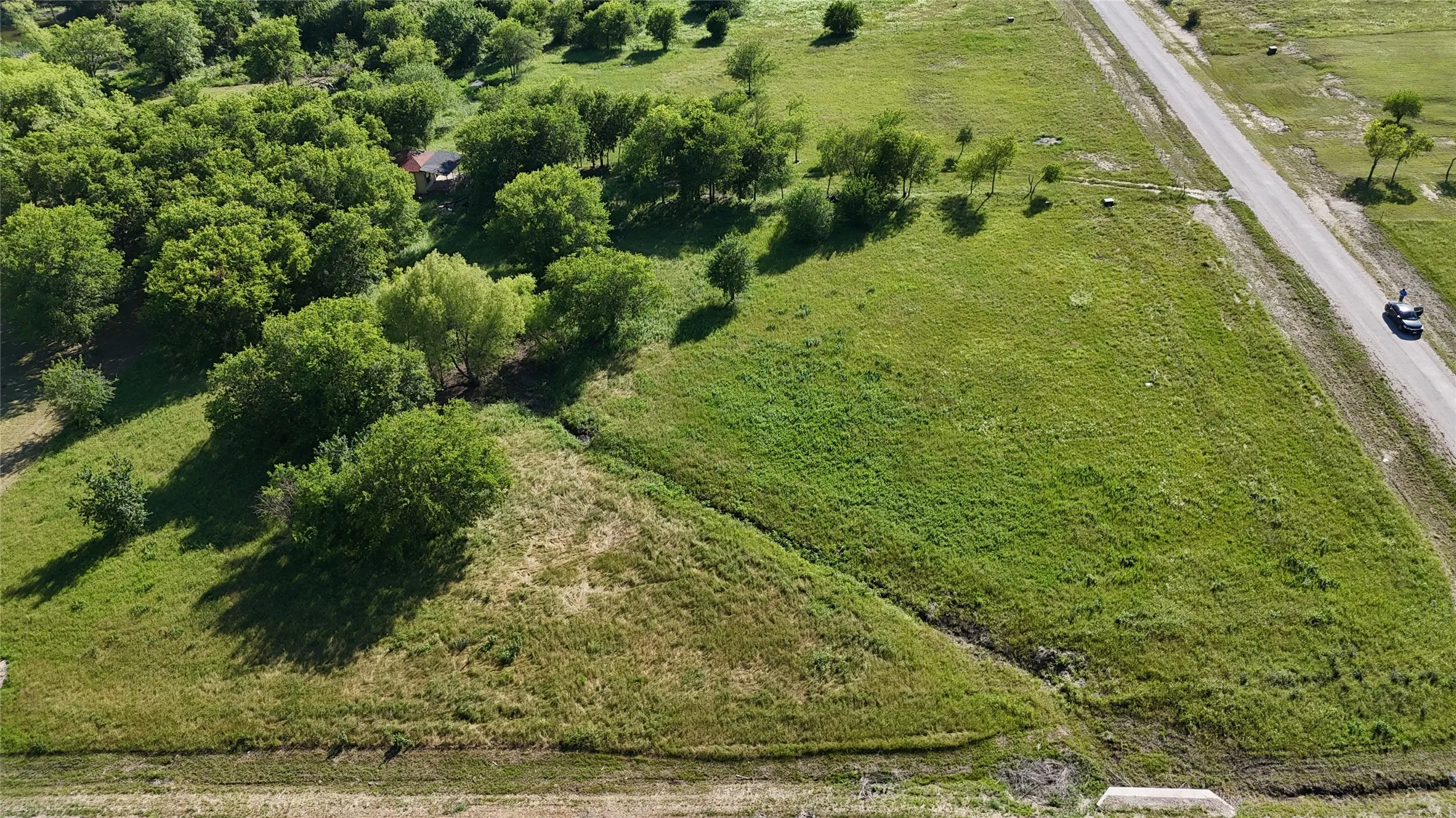 Expansive green acreage featuring mature trees and a natural land contour