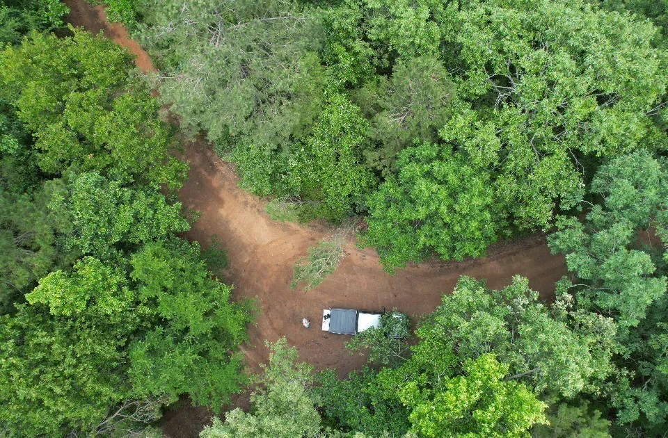 Unimproved Land For Sale in Shelby County , TBD County Road 4679, Tenaha, Texas 75974, 0, 0, Garage spaces, 0 Sqft, built in 0, Price $634,400, mls#21278414, Real Estate Agent in Tenaha, Homes For Sale in Shelby county, Homes For Sale in Tenaha, Realtor in Tenaha Texas, Real Estate Brokerage Independent Realty Texas, Luminita Cordes Realtor