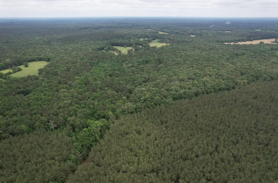 Unimproved Land For Sale in Shelby County , TBD County Road 4679, Tenaha, Texas 75974, 0, 0, Garage spaces, 0 Sqft, built in 0, Price $634,400, mls#21278414, Real Estate Agent in Tenaha, Homes For Sale in Shelby county, Homes For Sale in Tenaha, Realtor in Tenaha Texas, Real Estate Brokerage Independent Realty Texas, Luminita Cordes Realtor