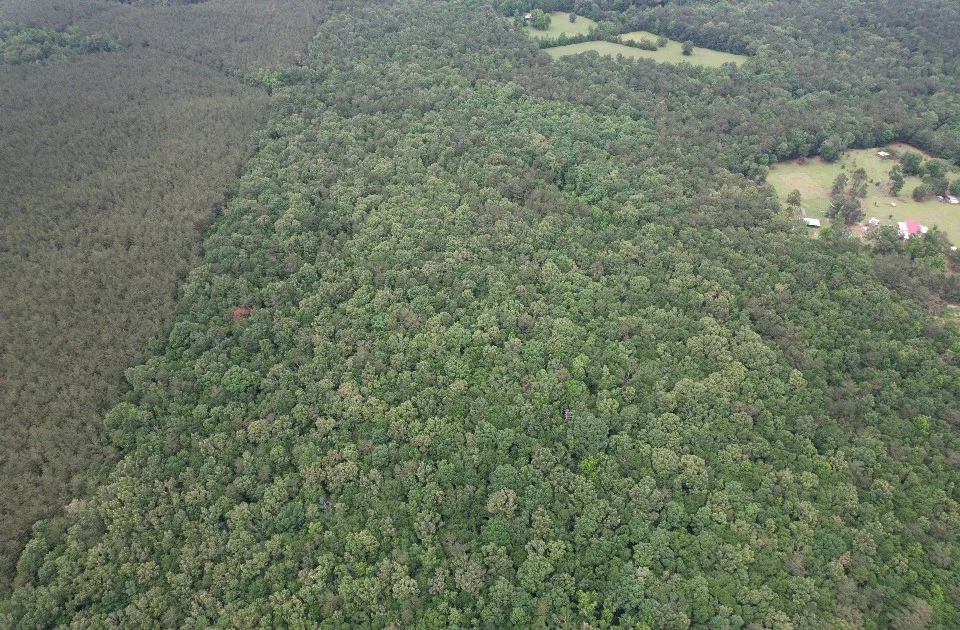 Unimproved Land For Sale in Shelby County , TBD County Road 4679, Tenaha, Texas 75974, 0, 0, Garage spaces, 0 Sqft, built in 0, Price $634,400, mls#21278414, Real Estate Agent in Tenaha, Homes For Sale in Shelby county, Homes For Sale in Tenaha, Realtor in Tenaha Texas, Real Estate Brokerage Independent Realty Texas, Luminita Cordes Realtor