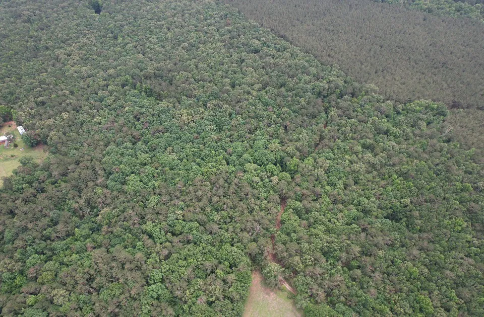 Unimproved Land For Sale in Shelby County , TBD County Road 4679, Tenaha, Texas 75974, 0, 0, Garage spaces, 0 Sqft, built in 0, Price $634,400, mls#21278414, Real Estate Agent in Tenaha, Homes For Sale in Shelby county, Homes For Sale in Tenaha, Realtor in Tenaha Texas, Real Estate Brokerage Independent Realty Texas, Luminita Cordes Realtor