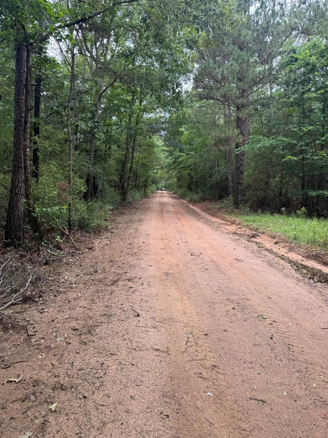 Unimproved Land For Sale in Shelby County , TBD County Road 4679, Tenaha, Texas 75974, 0, 0, Garage spaces, 0 Sqft, built in 0, Price $634,400, mls#21278414, Real Estate Agent in Tenaha, Homes For Sale in Shelby county, Homes For Sale in Tenaha, Realtor in Tenaha Texas, Real Estate Brokerage Independent Realty Texas, Luminita Cordes Realtor
