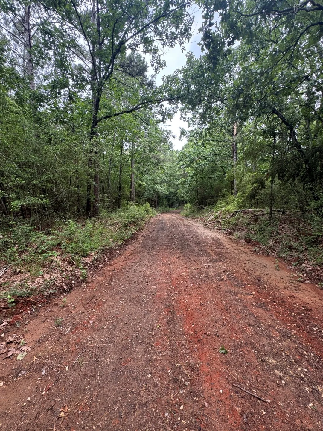 Unimproved Land For Sale in Shelby County , TBD County Road 4679, Tenaha, Texas 75974, 0, 0, Garage spaces, 0 Sqft, built in 0, Price $634,400, mls#21278414, Real Estate Agent in Tenaha, Homes For Sale in Shelby county, Homes For Sale in Tenaha, Realtor in Tenaha Texas, Real Estate Brokerage Independent Realty Texas, Luminita Cordes Realtor