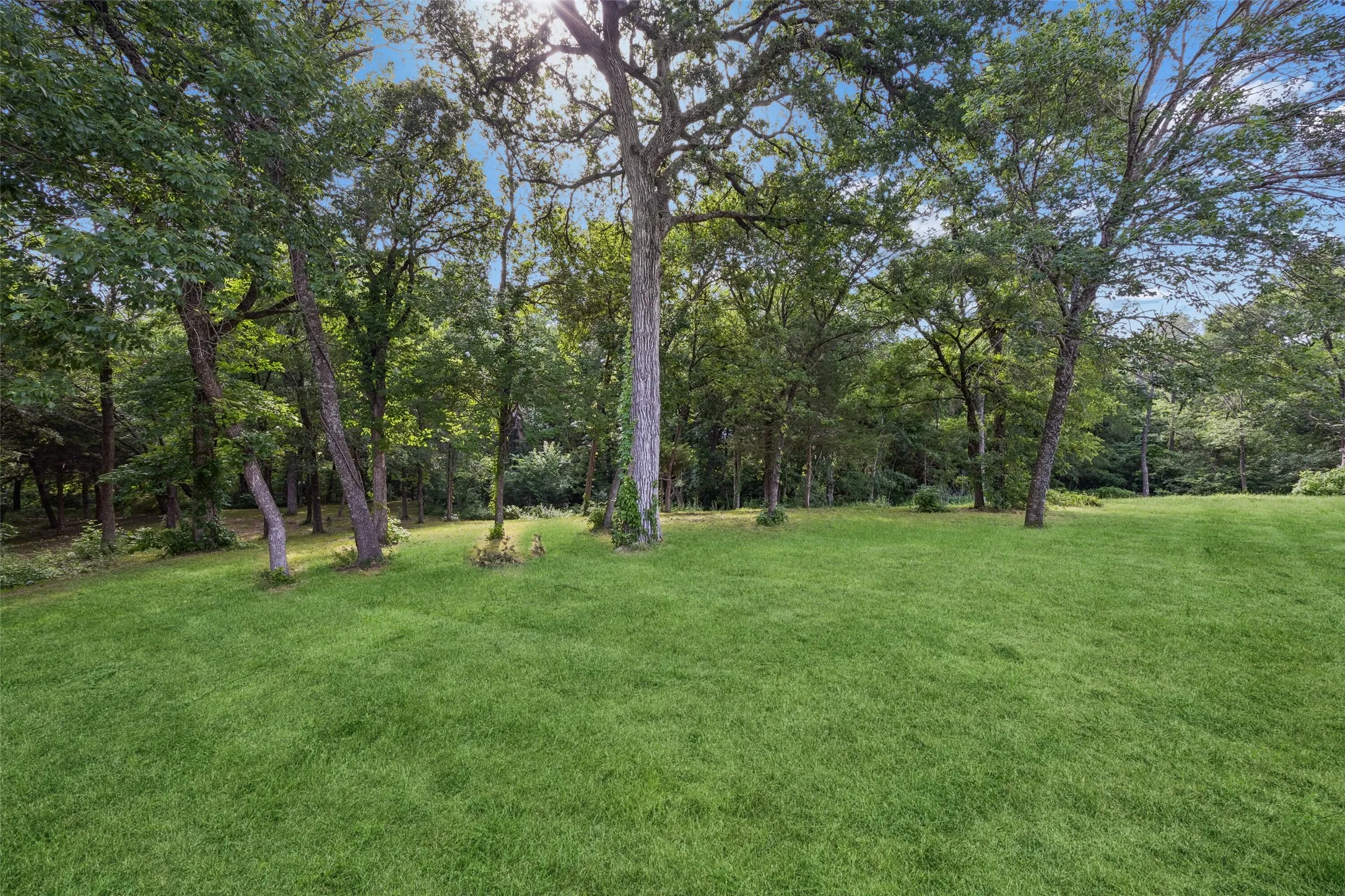 Improved Land For Sale in Ellis County , 1806 Sunset Crossing, Cedar Hill, Texas 75104, 0, 0, Garage spaces, 0 Sqft, built in 0, Price $175,000, mls#21276640, Real Estate Agent in Cedar Hill, Homes For Sale in Ellis county, Homes For Sale in Cedar Hill, Realtor in Cedar Hill Texas, Real Estate Brokerage Independent Realty Texas, Luminita Cordes Realtor