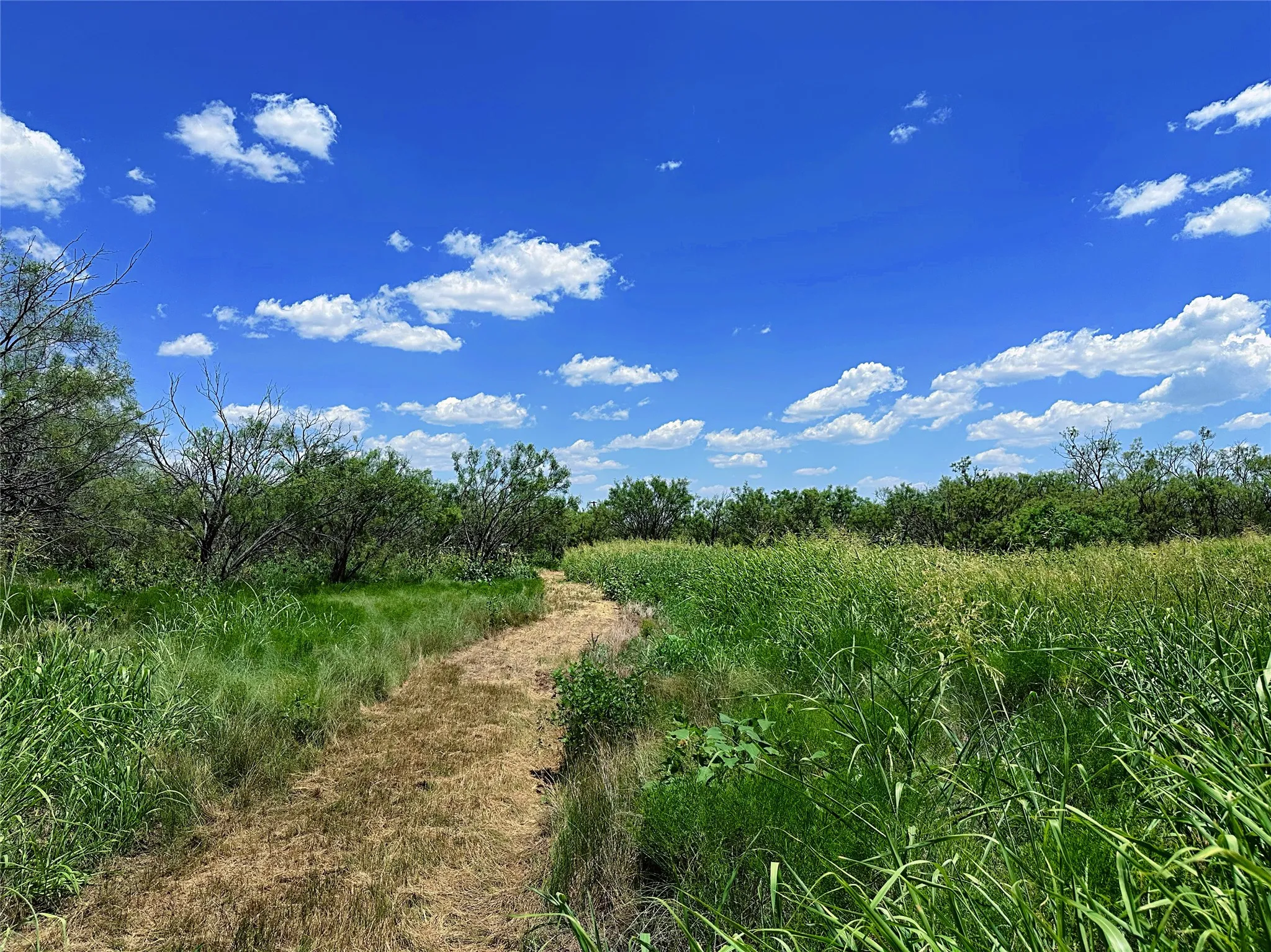 Unimproved Land For Sale in Jones County , TBD (WEST TRACT) County Road 356, Anson, Texas 79501, 0, 0, Garage spaces, 0 Sqft, built in 0, Price $157,500, mls#21277748, Real Estate Agent in Anson, Homes For Sale in Jones county, Homes For Sale in Anson, Realtor in Anson Texas, Real Estate Brokerage Independent Realty Texas, Luminita Cordes Realtor