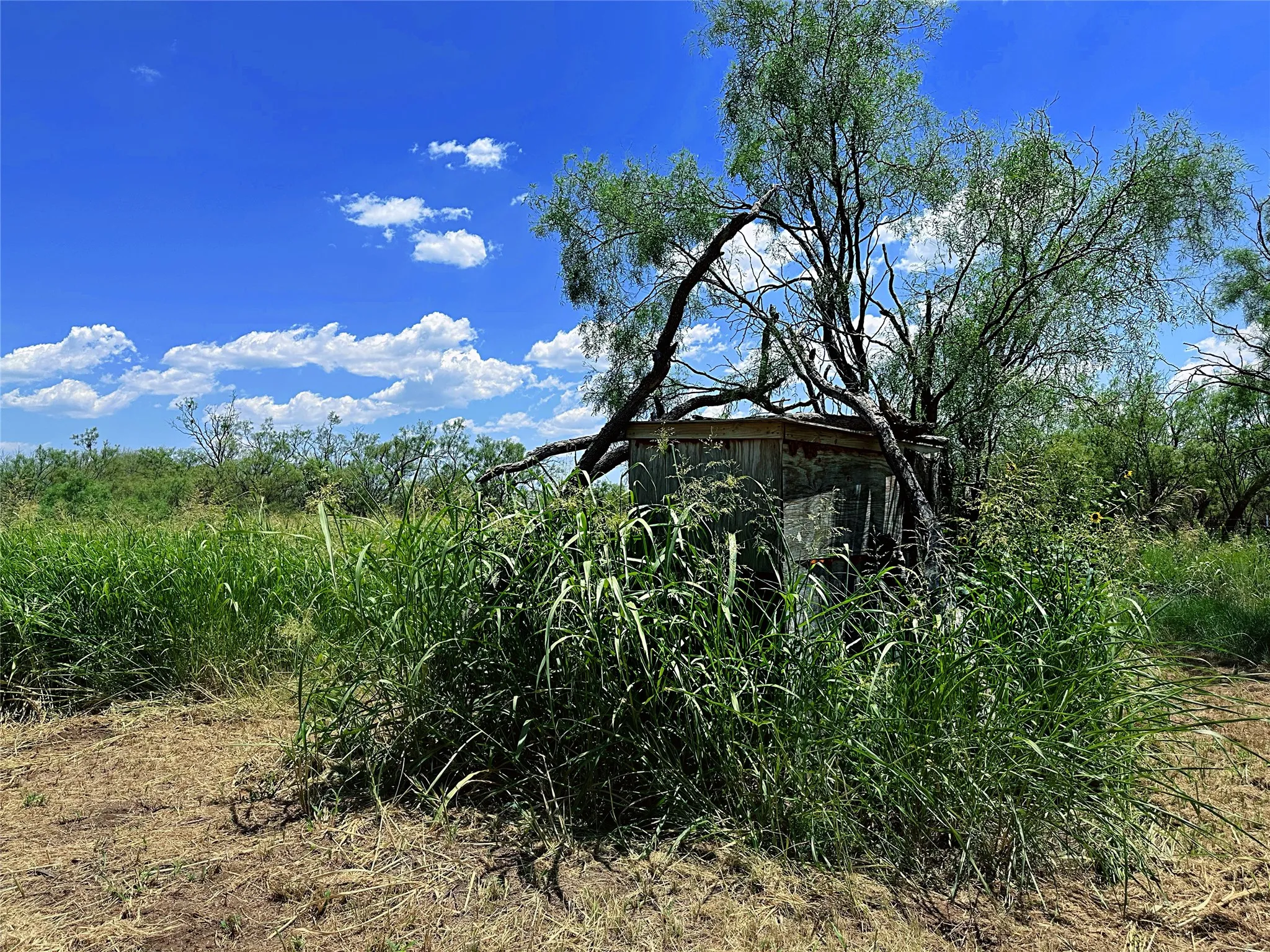Unimproved Land For Sale in Jones County , TBD (WEST TRACT) County Road 356, Anson, Texas 79501, 0, 0, Garage spaces, 0 Sqft, built in 0, Price $157,500, mls#21277748, Real Estate Agent in Anson, Homes For Sale in Jones county, Homes For Sale in Anson, Realtor in Anson Texas, Real Estate Brokerage Independent Realty Texas, Luminita Cordes Realtor