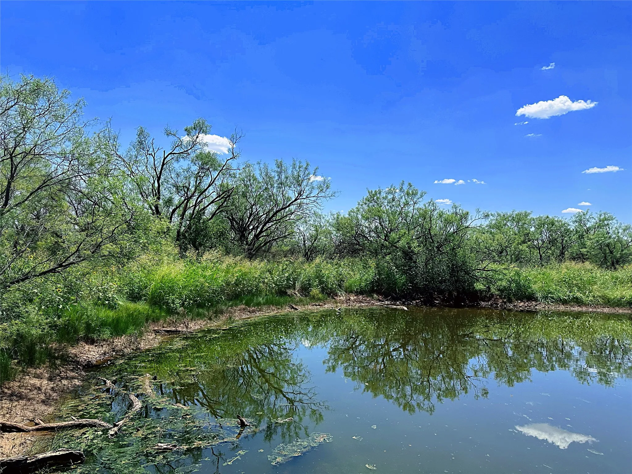 Unimproved Land For Sale in Jones County , TBD (WEST TRACT) County Road 356, Anson, Texas 79501, 0, 0, Garage spaces, 0 Sqft, built in 0, Price $157,500, mls#21277748, Real Estate Agent in Anson, Homes For Sale in Jones county, Homes For Sale in Anson, Realtor in Anson Texas, Real Estate Brokerage Independent Realty Texas, Luminita Cordes Realtor