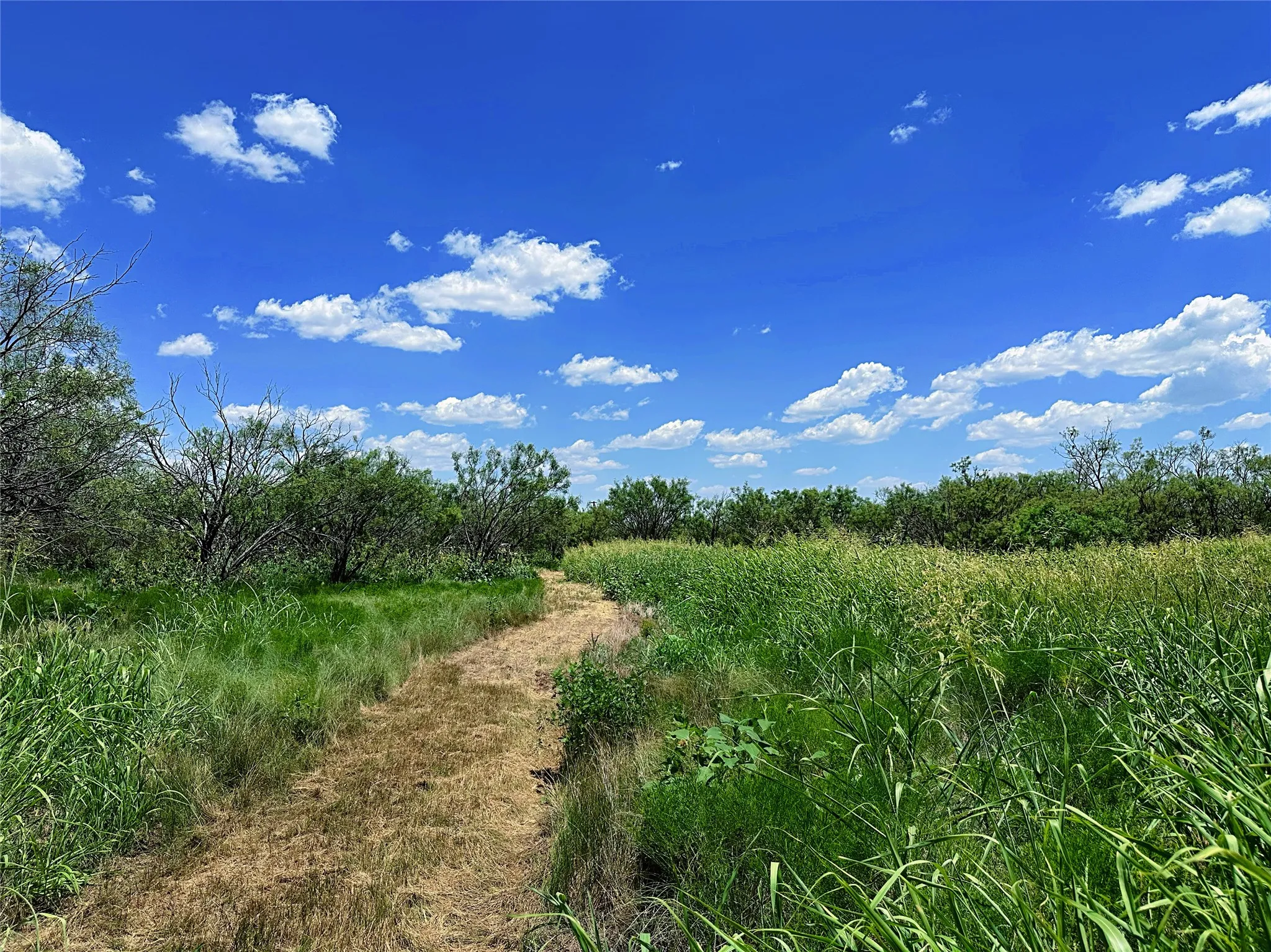 Unimproved Land For Sale in Jones County , TBD (WEST TRACT) County Road 356, Anson, Texas 79501, 0, 0, Garage spaces, 0 Sqft, built in 0, Price $157,500, mls#21277748, Real Estate Agent in Anson, Homes For Sale in Jones county, Homes For Sale in Anson, Realtor in Anson Texas, Real Estate Brokerage Independent Realty Texas, Luminita Cordes Realtor