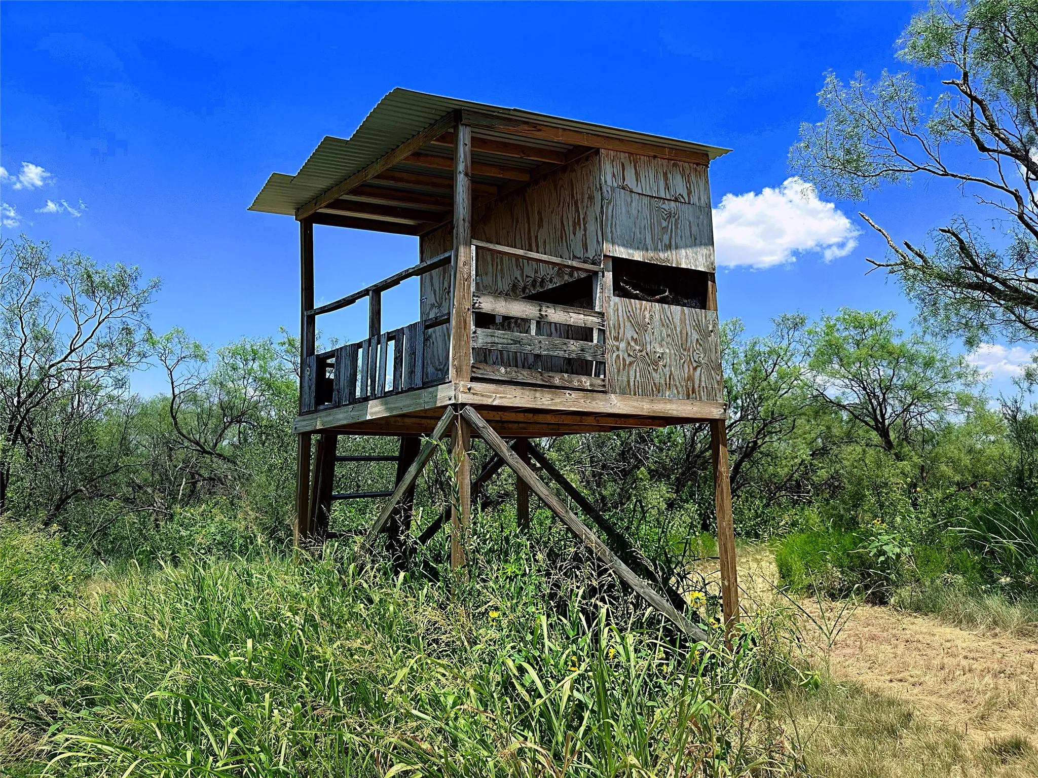 Unimproved Land For Sale in Jones County , TBD (WEST TRACT) County Road 356, Anson, Texas 79501, 0, 0, Garage spaces, 0 Sqft, built in 0, Price $157,500, mls#21277748, Real Estate Agent in Anson, Homes For Sale in Jones county, Homes For Sale in Anson, Realtor in Anson Texas, Real Estate Brokerage Independent Realty Texas, Luminita Cordes Realtor