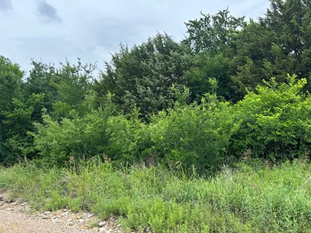 Unimproved Land For Sale in Dallas County , 11 NW 20th Street, Grand Prairie, Texas 75050, 0, 0, Garage spaces, 0 Sqft, built in 0, mls#21277290, Real Estate Agent in Grand Prairie, Homes For Sale in Dallas county, Homes For Sale in Grand Prairie, Realtor in Grand Prairie Texas, Real Estate Brokerage Independent Realty Texas, Luminita Cordes Realtor
