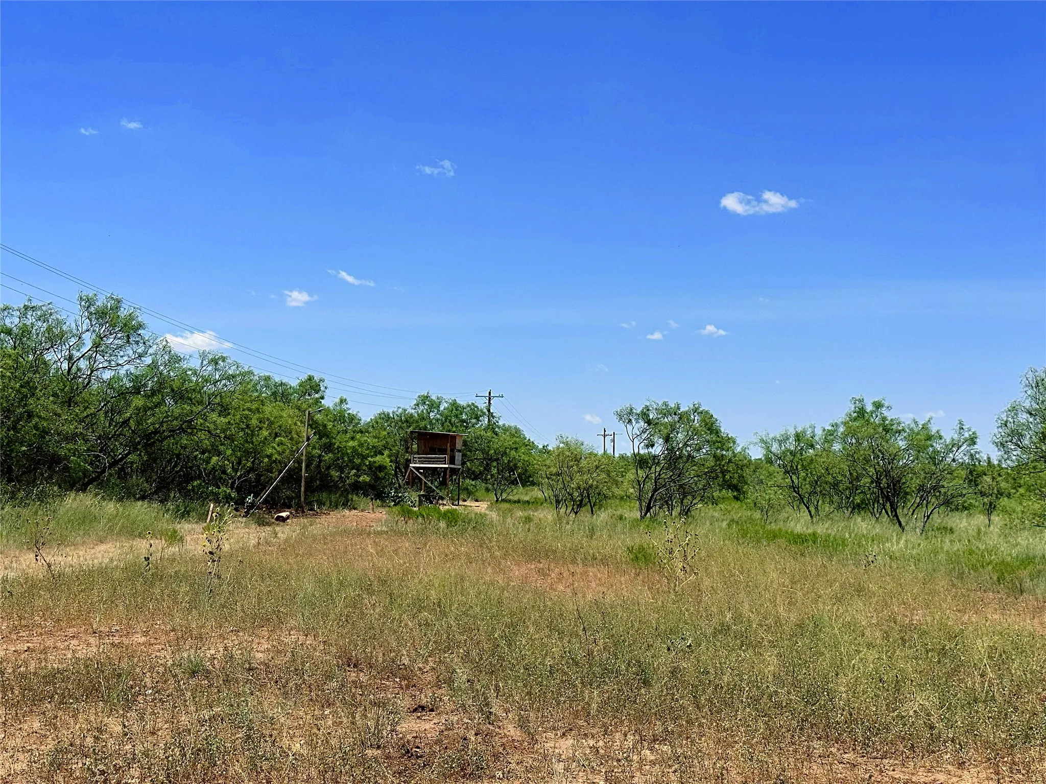 Unimproved Land For Sale in Jones County , TBD (East Tract) County Road 356, Anson, Texas 79501, 0, 0, Garage spaces, 0 Sqft, built in 0, Price $204,225, mls#21277686, Real Estate Agent in Anson, Homes For Sale in Jones county, Homes For Sale in Anson, Realtor in Anson Texas, Real Estate Brokerage Independent Realty Texas, Luminita Cordes Realtor