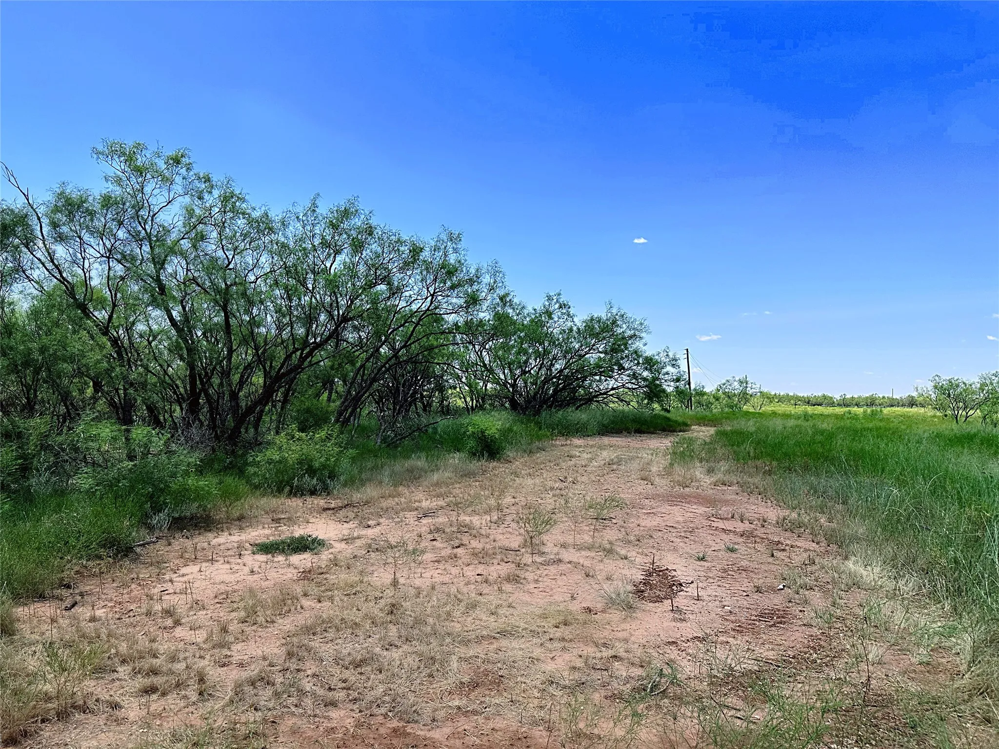 Unimproved Land For Sale in Jones County , TBD (East Tract) County Road 356, Anson, Texas 79501, 0, 0, Garage spaces, 0 Sqft, built in 0, Price $204,225, mls#21277686, Real Estate Agent in Anson, Homes For Sale in Jones county, Homes For Sale in Anson, Realtor in Anson Texas, Real Estate Brokerage Independent Realty Texas, Luminita Cordes Realtor