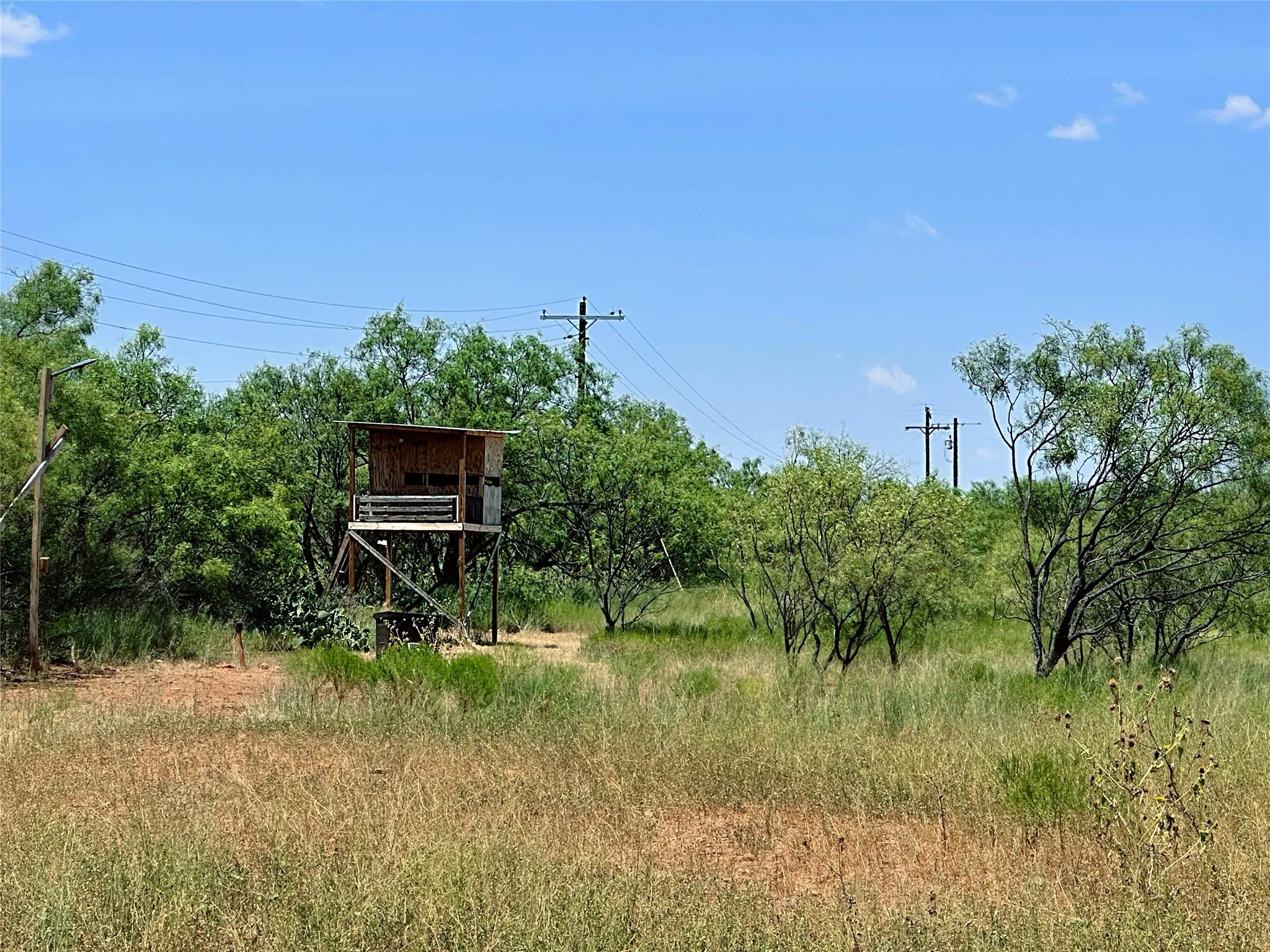 Unimproved Land For Sale in Jones County , TBD (East Tract) County Road 356, Anson, Texas 79501, 0, 0, Garage spaces, 0 Sqft, built in 0, Price $204,225, mls#21277686, Real Estate Agent in Anson, Homes For Sale in Jones county, Homes For Sale in Anson, Realtor in Anson Texas, Real Estate Brokerage Independent Realty Texas, Luminita Cordes Realtor