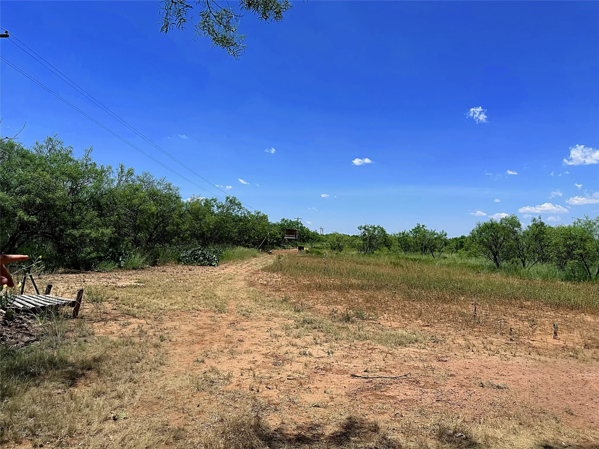Unimproved Land For Sale in Jones County , TBD (East Tract) County Road 356, Anson, Texas 79501, 0, 0, Garage spaces, 0 Sqft, built in 0, Price $204,225, mls#21277686, Real Estate Agent in Anson, Homes For Sale in Jones county, Homes For Sale in Anson, Realtor in Anson Texas, Real Estate Brokerage Independent Realty Texas, Luminita Cordes Realtor