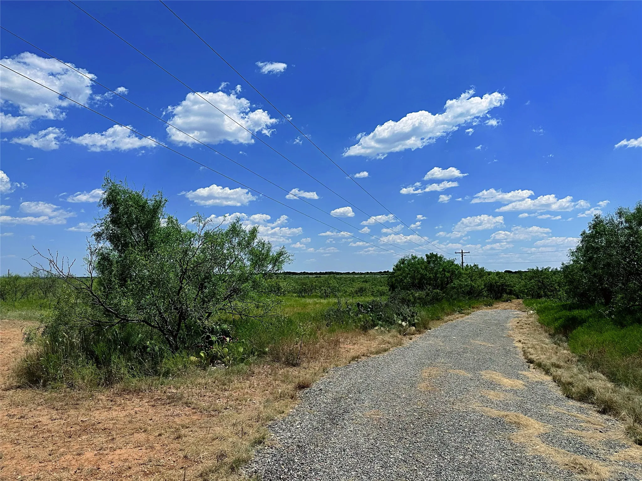 Unimproved Land For Sale in Jones County , TBD (East Tract) County Road 356, Anson, Texas 79501, 0, 0, Garage spaces, 0 Sqft, built in 0, Price $204,225, mls#21277686, Real Estate Agent in Anson, Homes For Sale in Jones county, Homes For Sale in Anson, Realtor in Anson Texas, Real Estate Brokerage Independent Realty Texas, Luminita Cordes Realtor